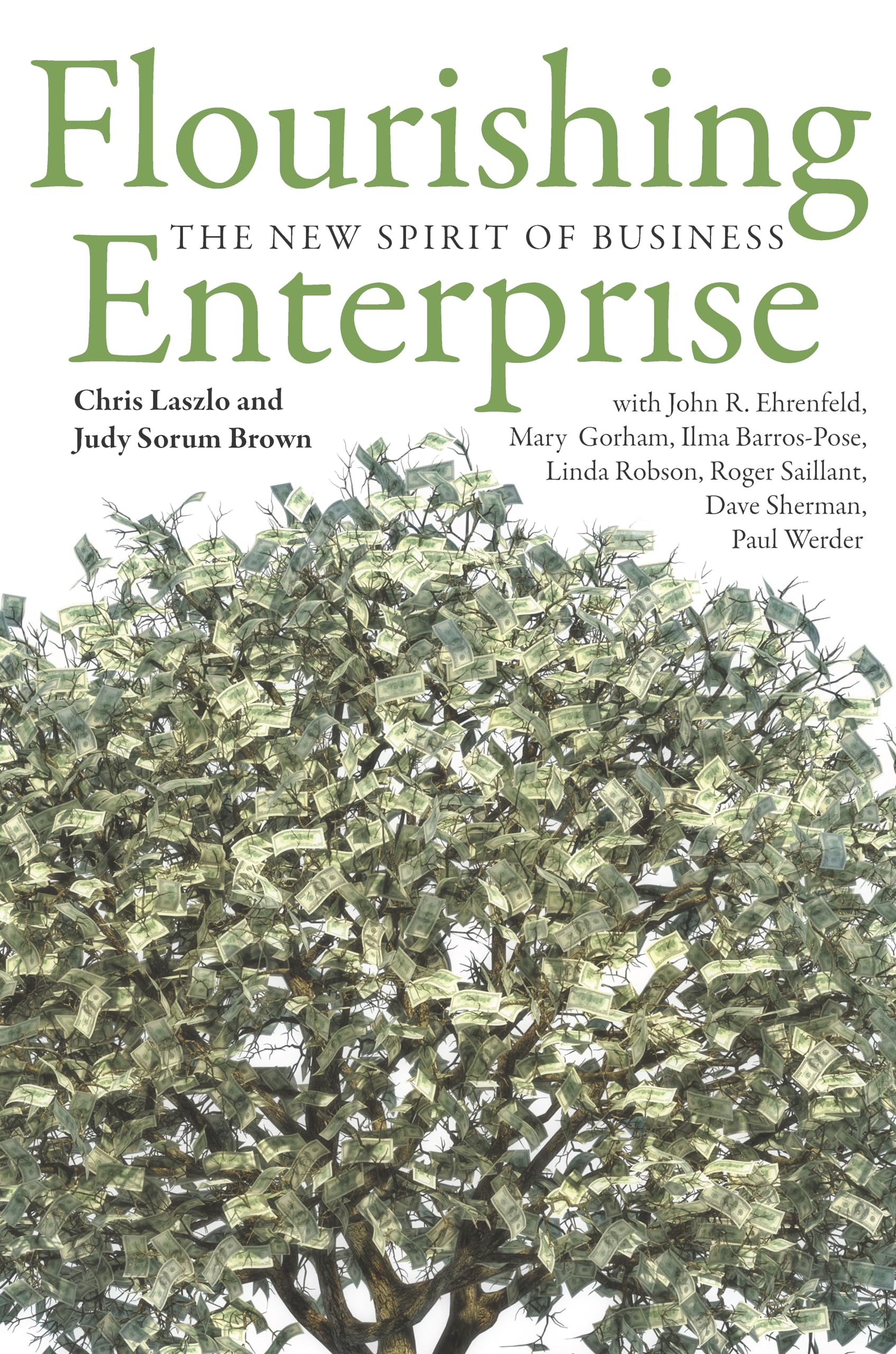 Flourishing Enterprise: The New Spirit of Business