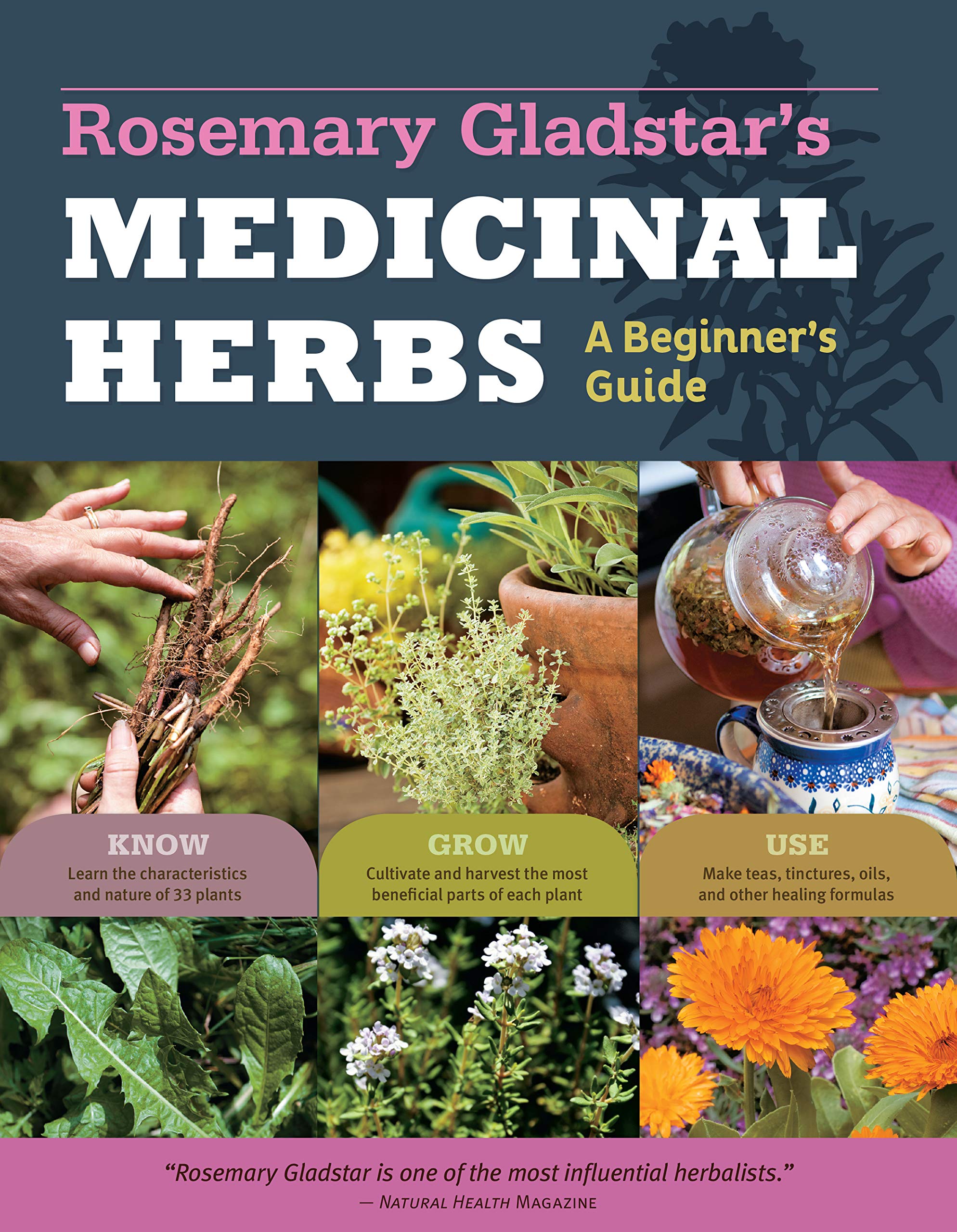 Rosemary Gladstars Medicinal Herbs: A Beginners Guide: 33 Healing Herbs to Know, Grow, and Use