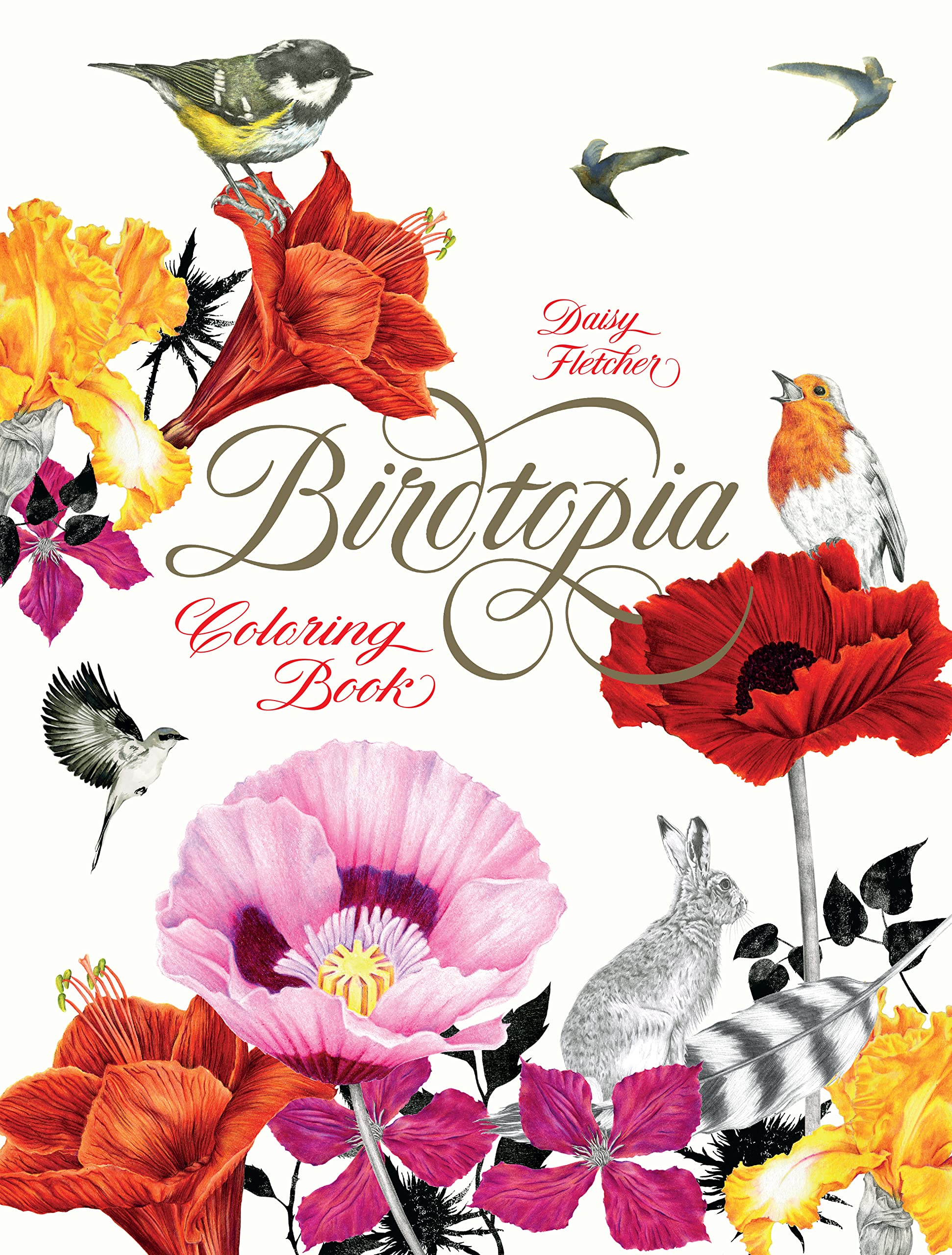 Birdtopia: Colouring Book (Colouring Books)