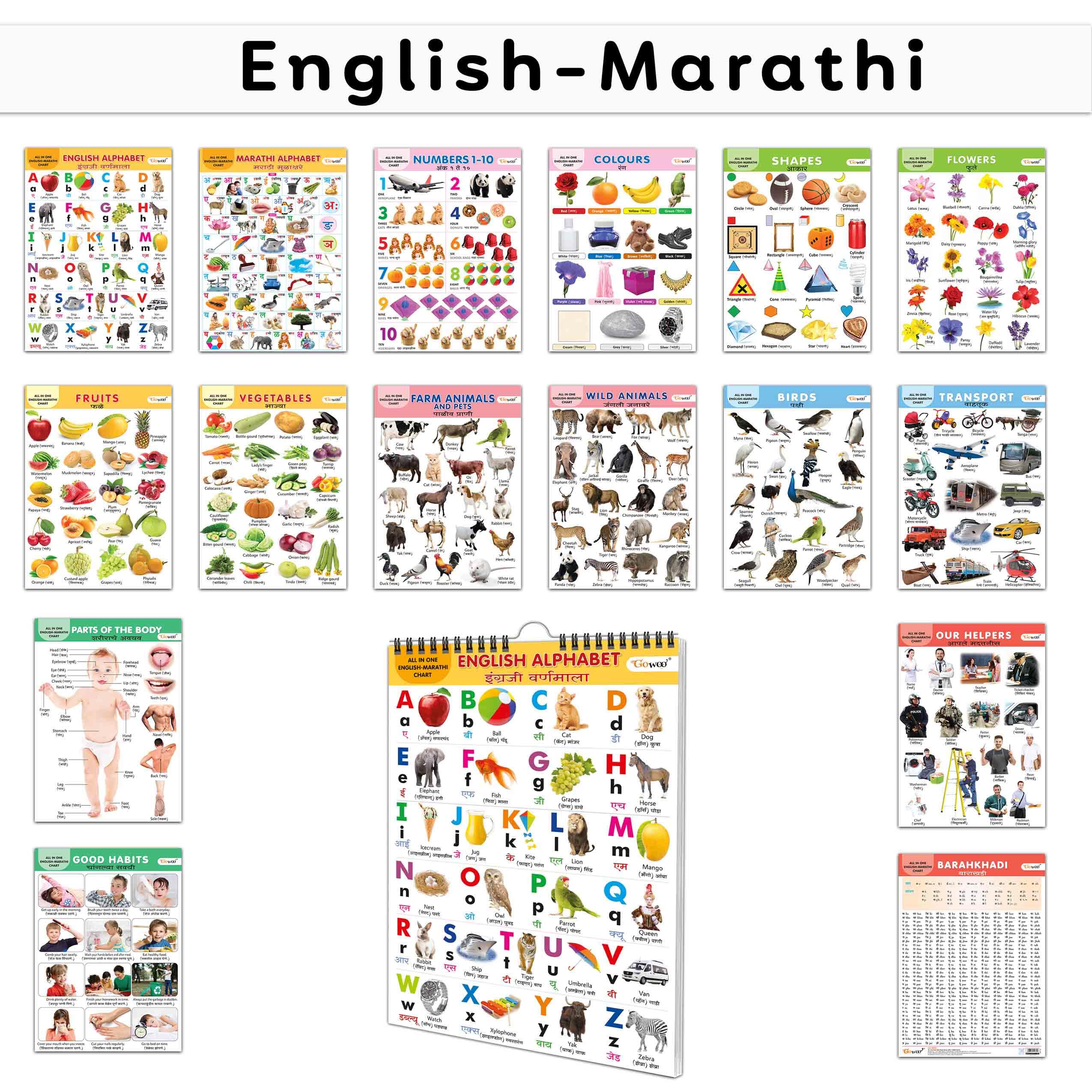 My First ALL IN ONE SPIRAL CHART ENGLISHMARATHI : Early Learning Chart Book Collections, Chart Book With 16 Topics, gift for Ki