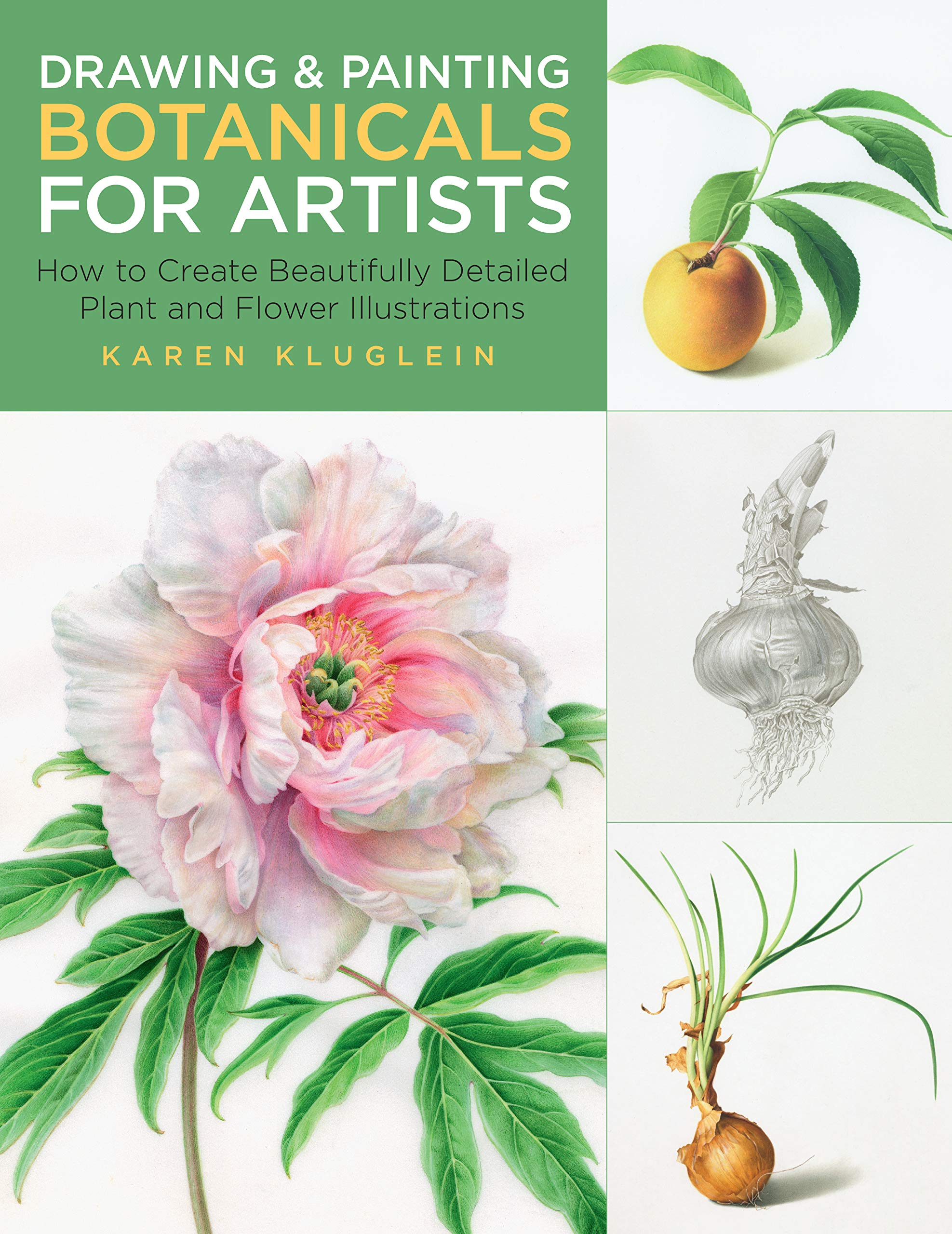 Drawing and Painting Botanicals for Artists: How to Create Beautifully Detailed Plant and Flower Illustrations (Volume 4) (For A