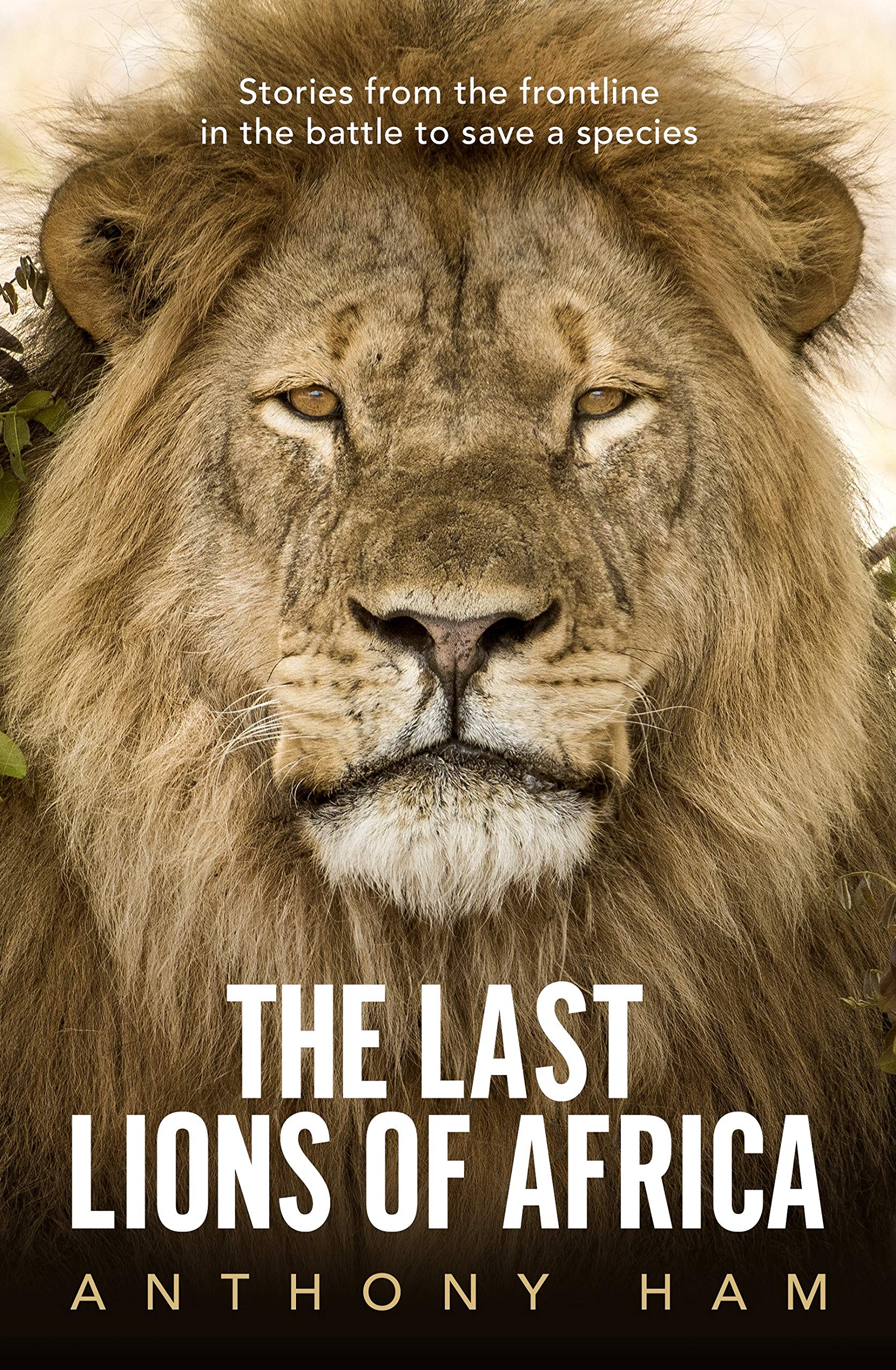 Last Lions Of Africa: Stories From The Frontline In The Battle To Save A Species