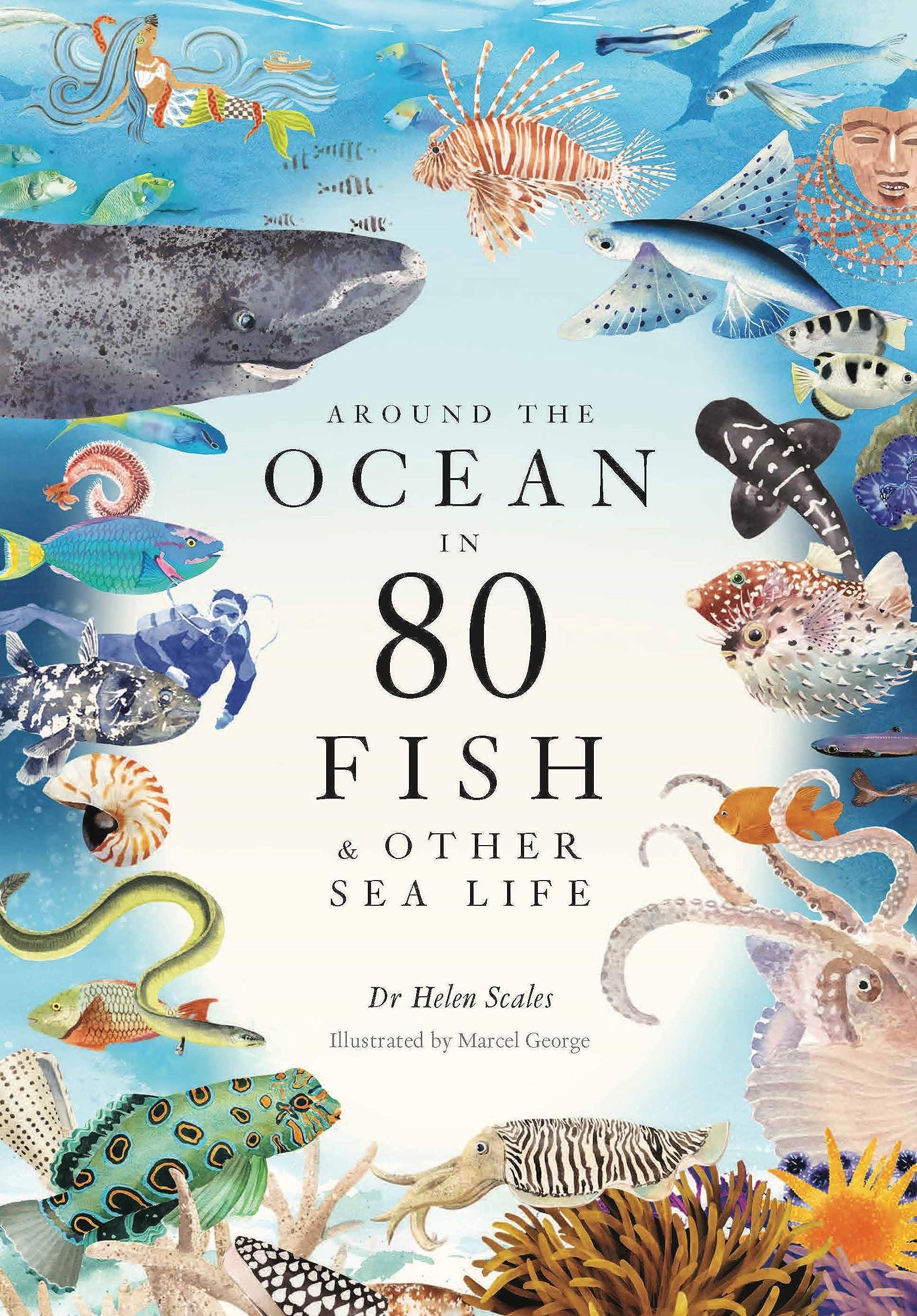 Around the Ocean in 80 Fish and other Sea Life ()