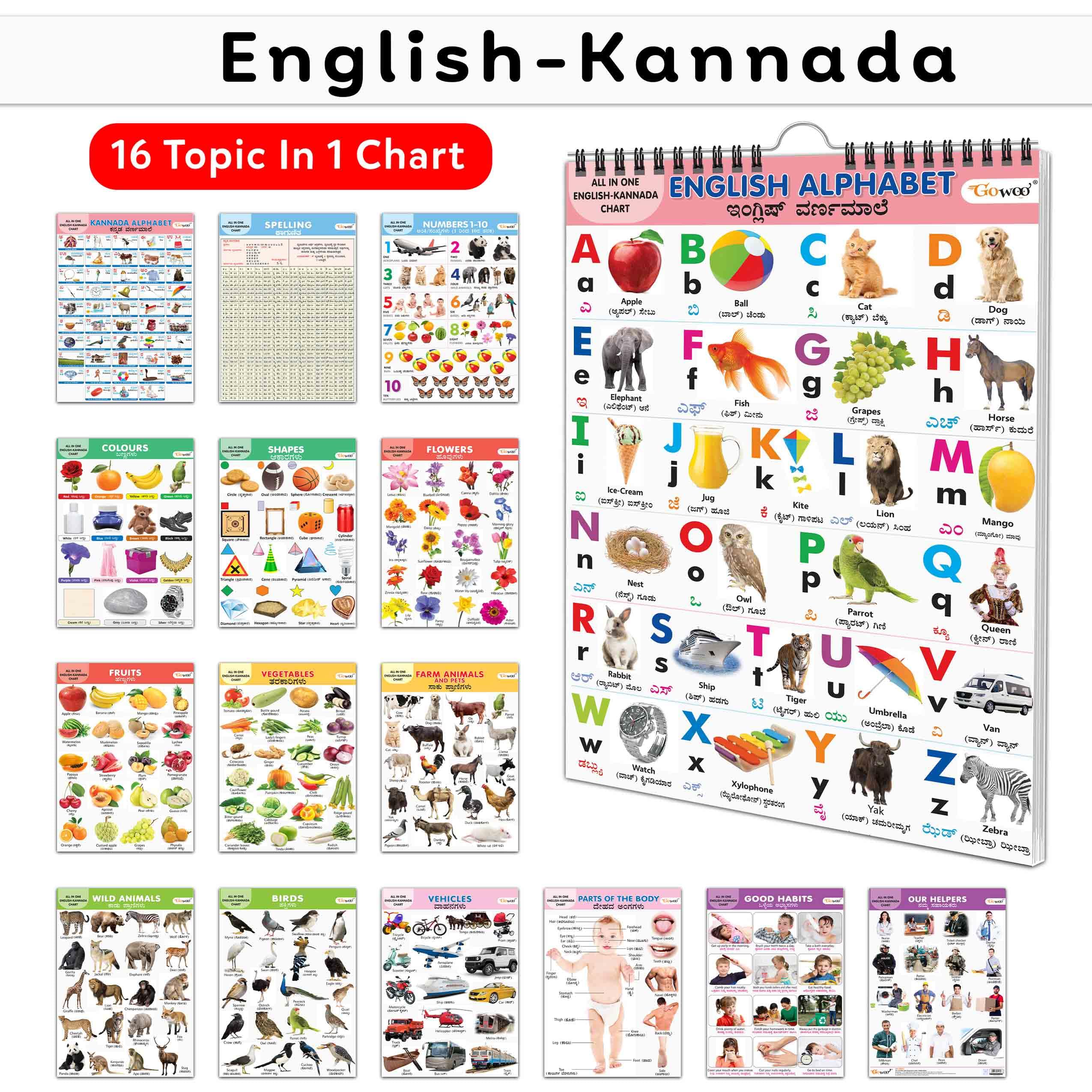 Toddlers learning library : Learning Chart for kids, My First ALL IN ONE SPIRAL CHART ENGLISHKANNADA With 16 Topics, birthday g
