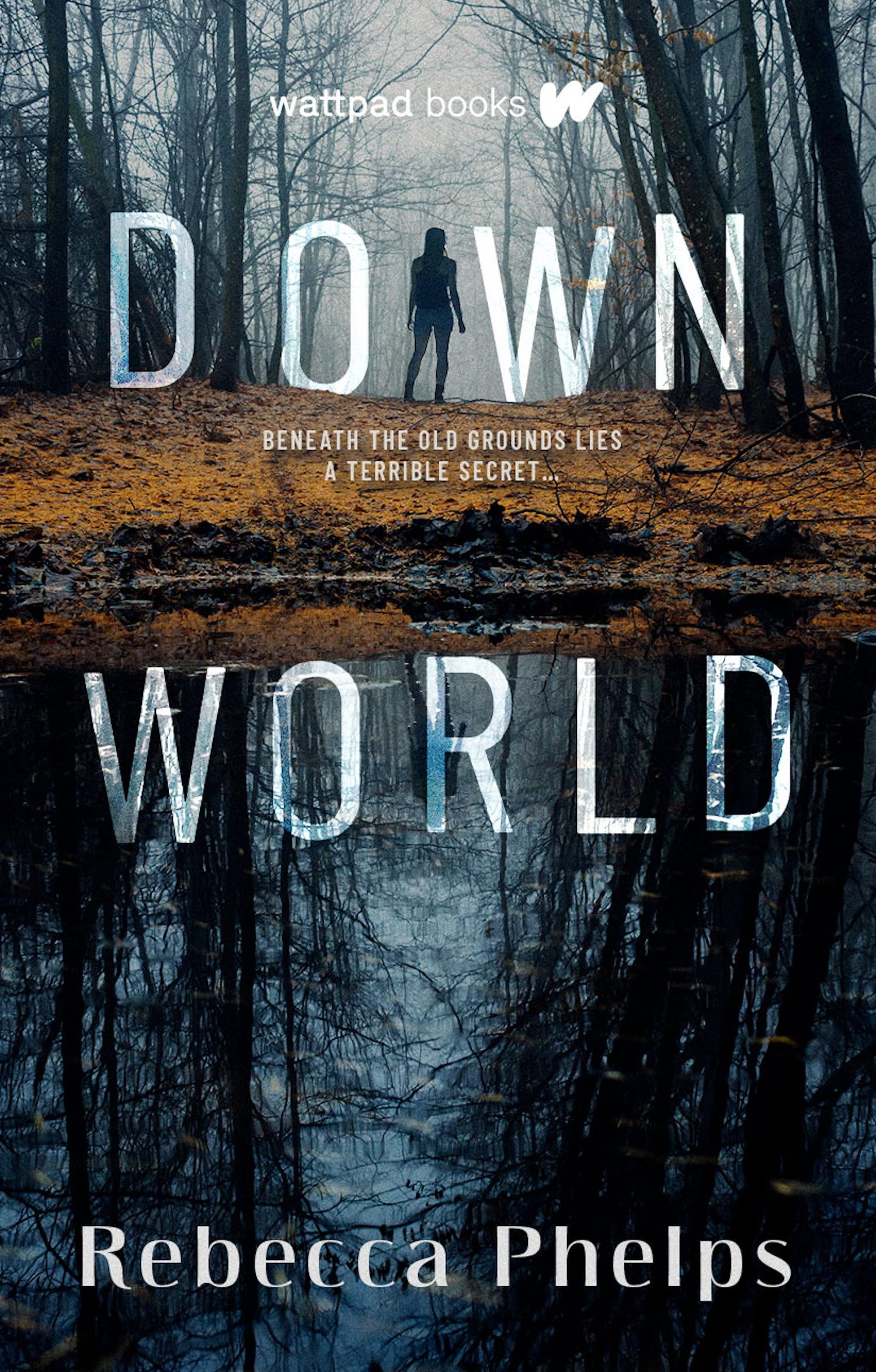 Down World: My Insiders Playbook for Making a Fortune on Wall Street: 1 (Down World Series)