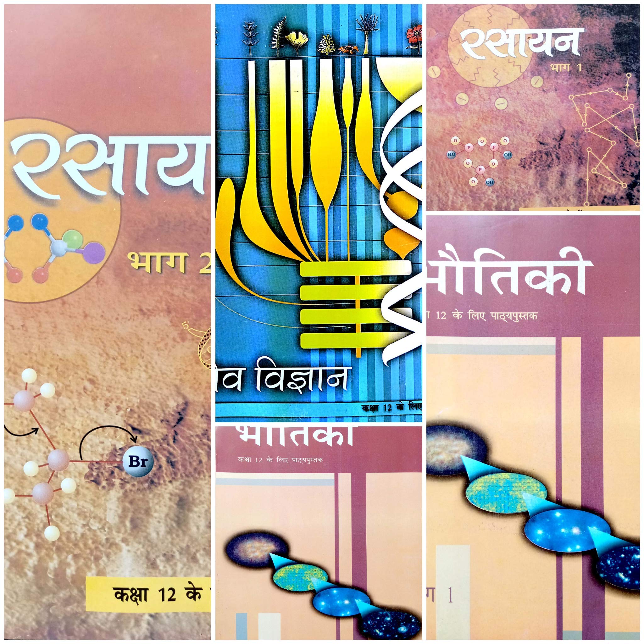 Ncert Textbooks Class 12 Physics Chemistry And Biology Combo In Hindi 201819 Edition For Cbse And Neet