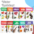 Toddlers (EngHindi) learning library : Learning book for kids, My First Picture Book Collection For Early Learning With 10 Topi