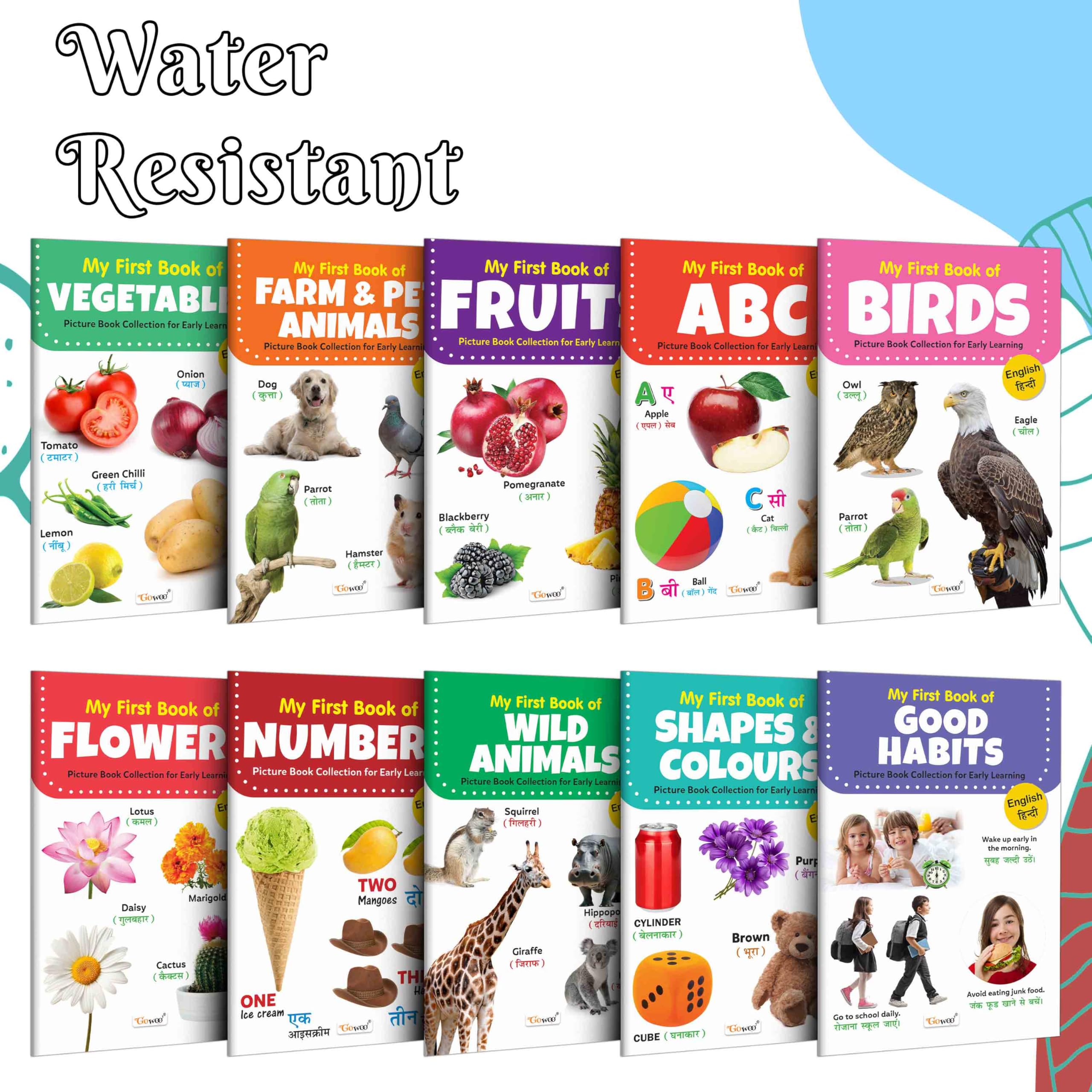 Toddlers (EngHindi) learning library : Learning book for kids, My First Picture Book Collection For Early Learning With 10 Topi