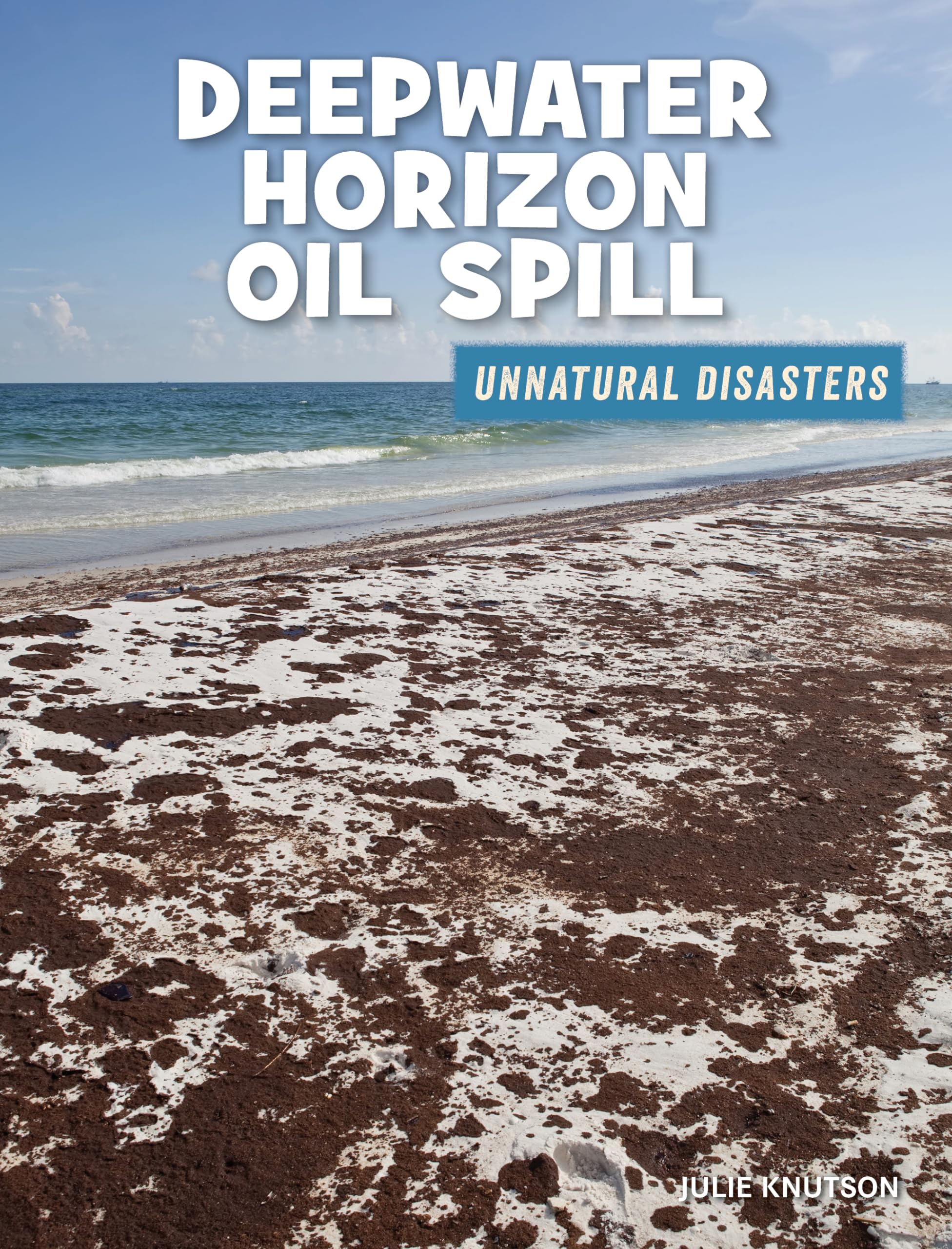 Deepwater Horizon Oil Spill (21st Century Skills Library: Unnatural Disasters: Human Error, Design Flaws, and Bad Decisions)
