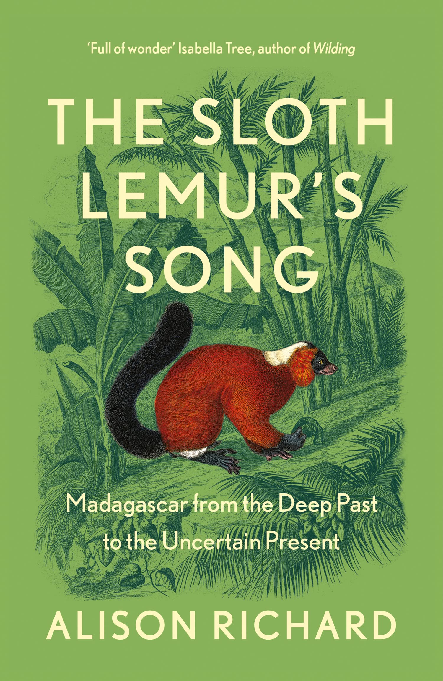 Sloth Lemurs Song: Madagascar from the Deep Past to the Uncertain Present
