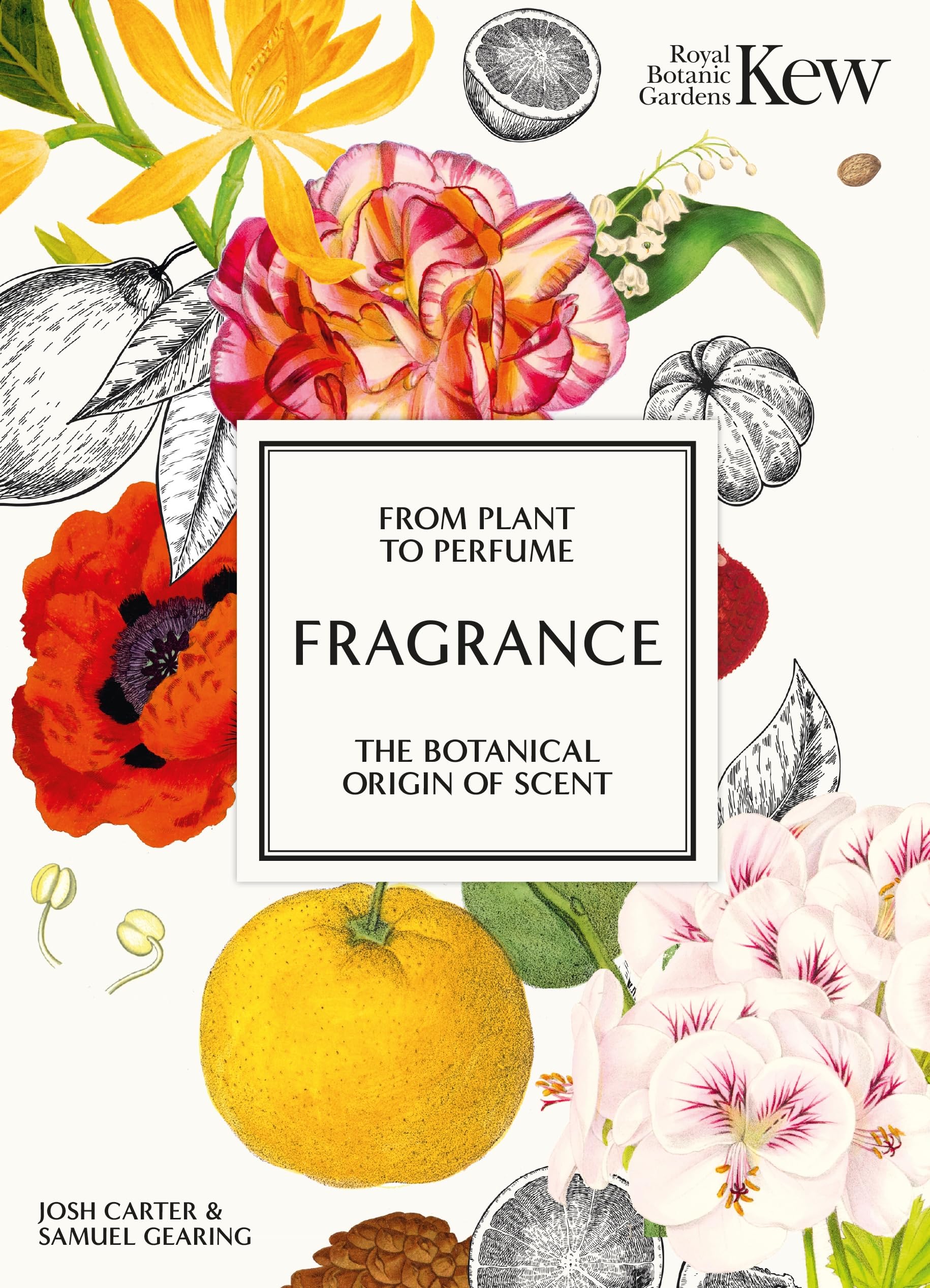 Kew  Fragrance: From plant to perfume, the botanical origins of scent