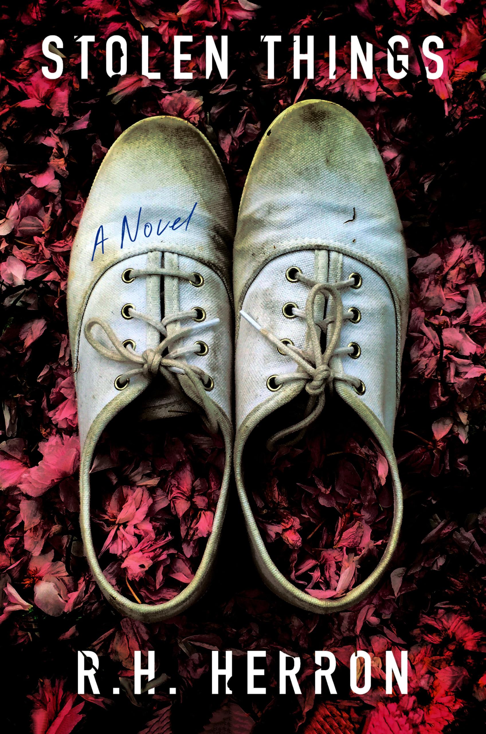 Stolen Things: A Novel