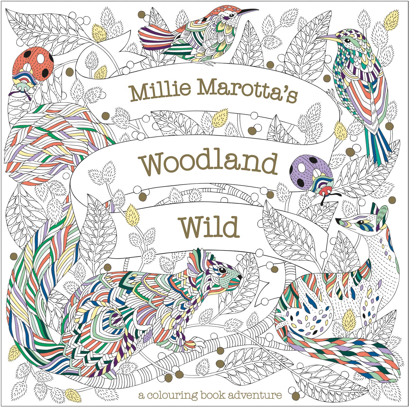 Millie Marottas Woodland Wild: a colouring book adventure: 24