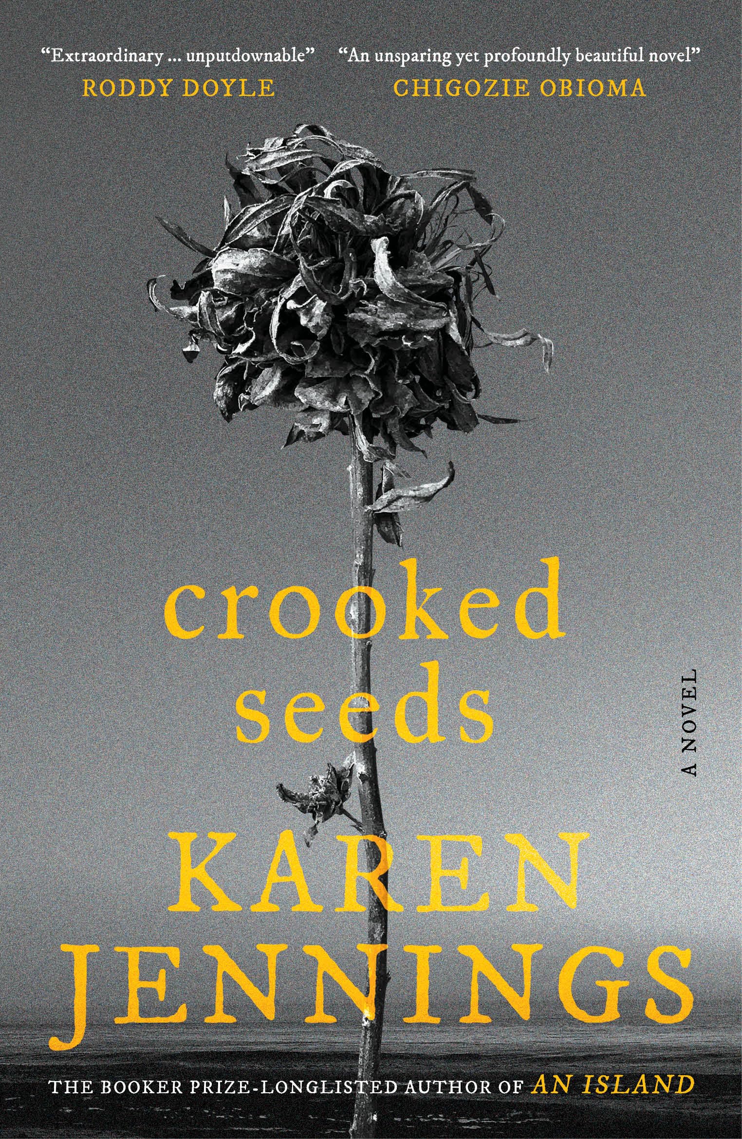 Crooked Seeds