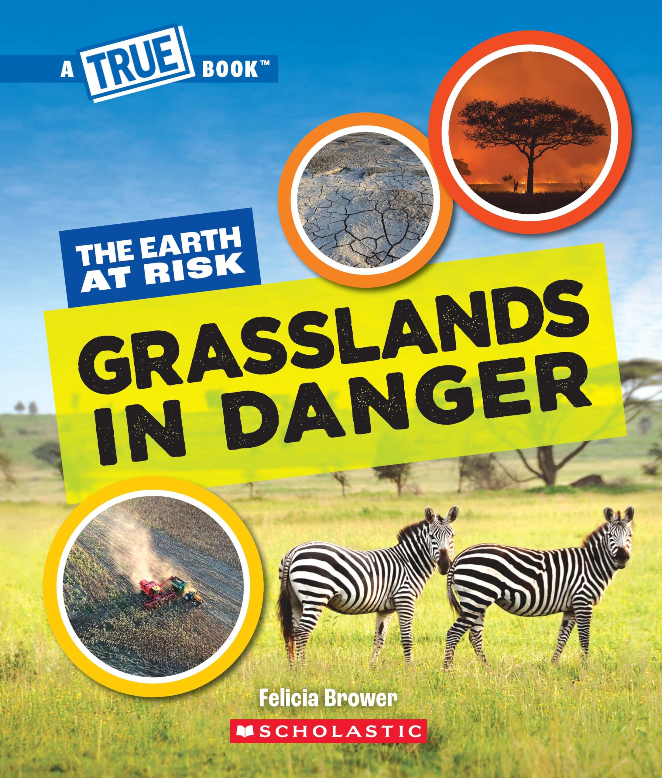 A True Book  The Earth at Risk: Grasslands in Danger