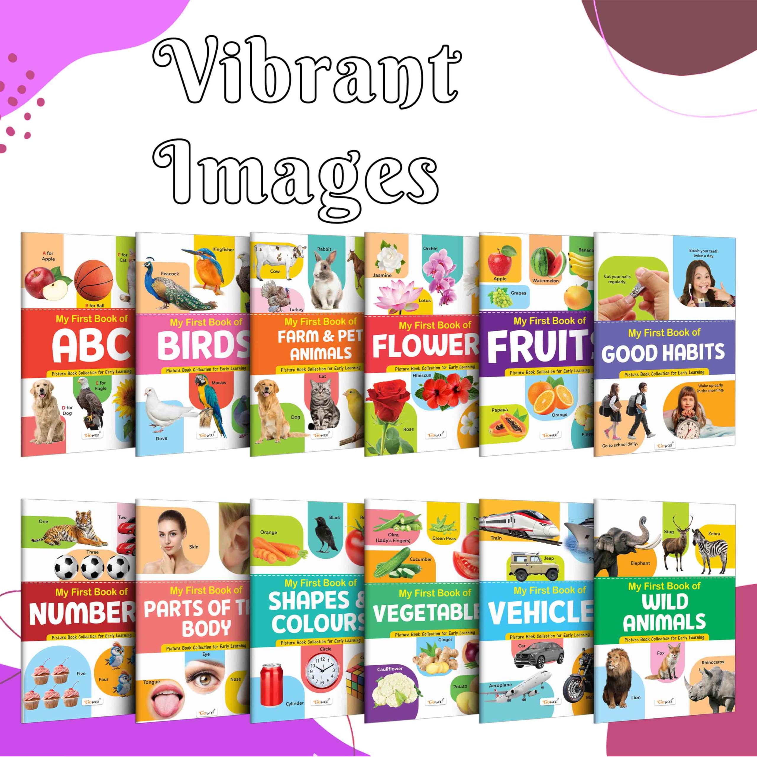 My First Picture Book Collection For Early Learning : With 12 Topics : ABC, Numbers, Fruits, Birds, Flowers, Farm & Pet Animals,