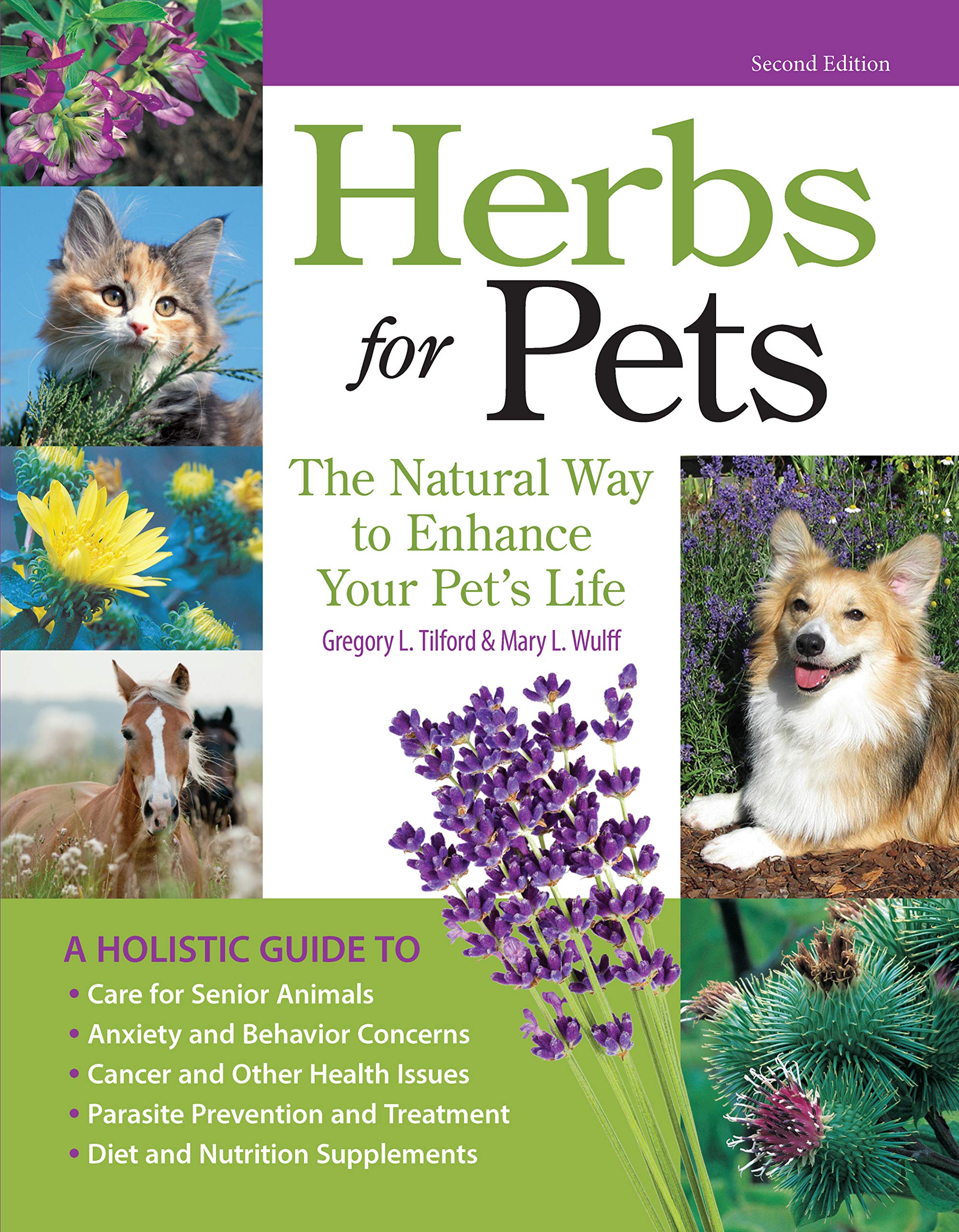 Herbs for Pets: The Natural Way to Enhance Your Pets Life (CompanionHouse Books) AZ Guide to Medicinal Plants, Holistic Recipe