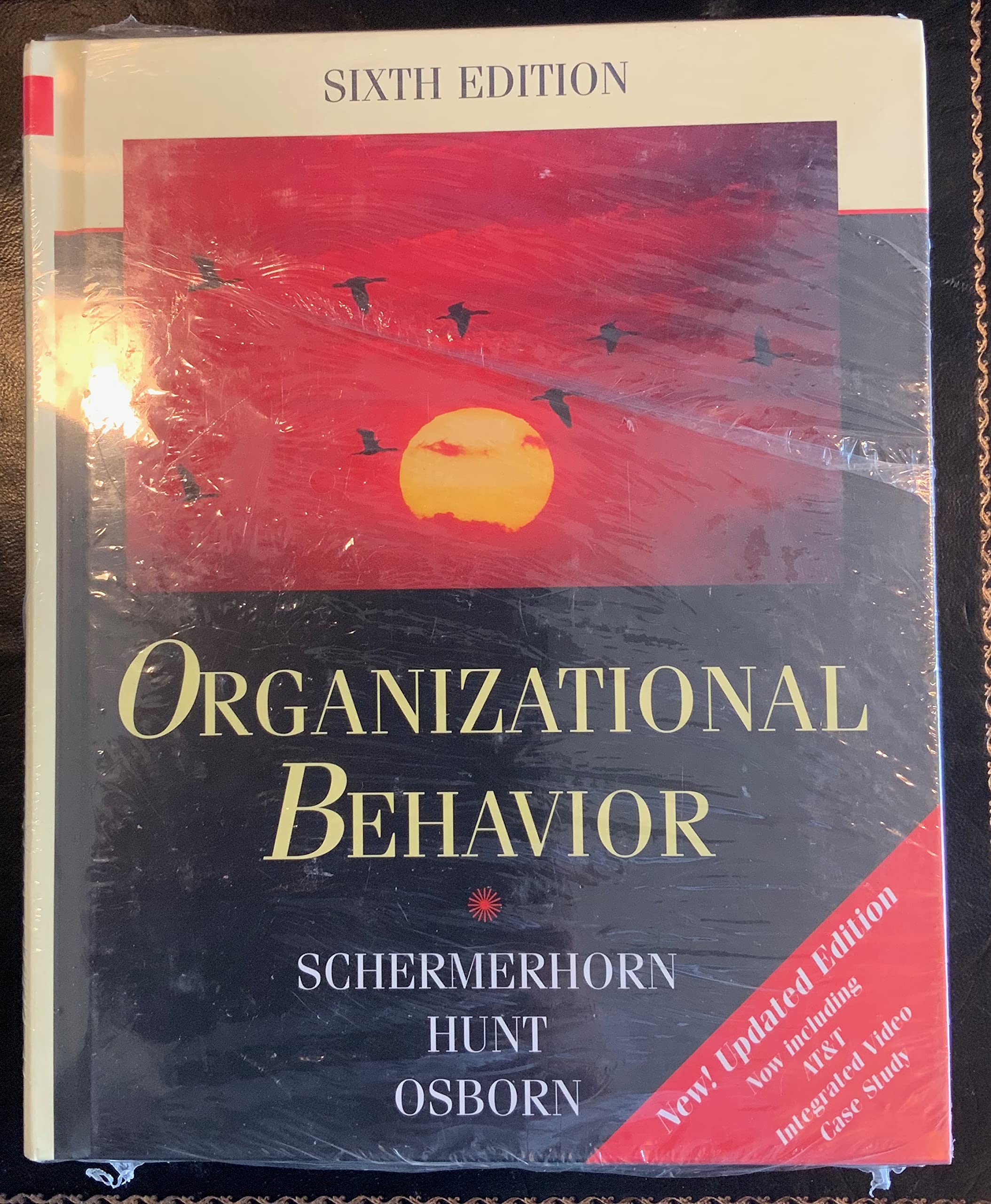 Organizational Behavior: 32 Pages Update (Wiley Series in Management)