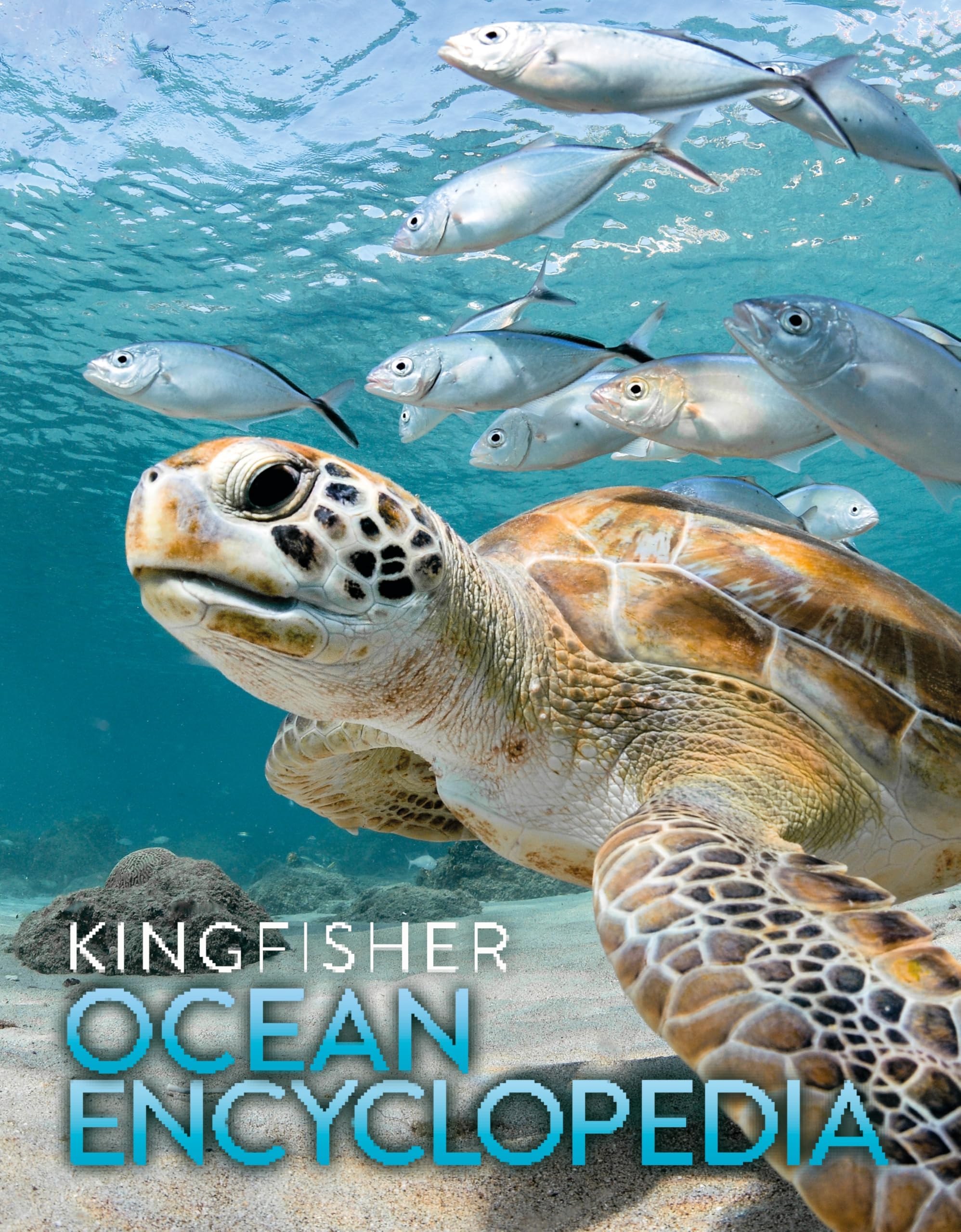 The Kingfisher Ocean Encyclopedia: The ultimate oceans and sea creatures fact book for kids