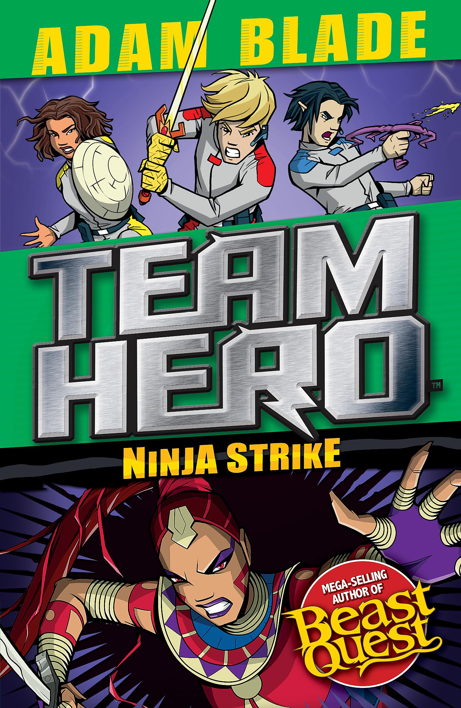 Team Hero: Ninja Strike: Series 4 Book 2
