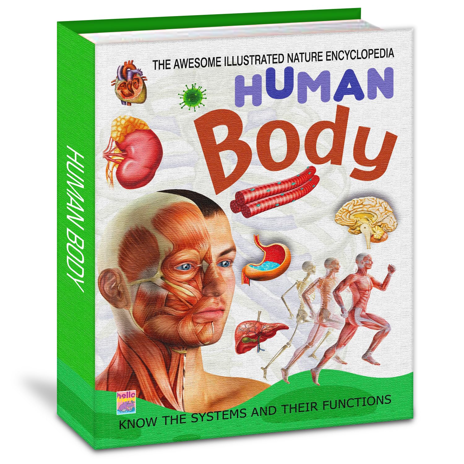Human Body Encyclopedia for Kids and Children  Informative Human Body and Educational Learn with Easy Facts and Pictures  Ages