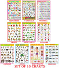Early Learning Educational Charts Set For Kids | 70X100 Cm (Extra Large Size To Attract Kids) | Combo Of 10 Charts | NonTearabl