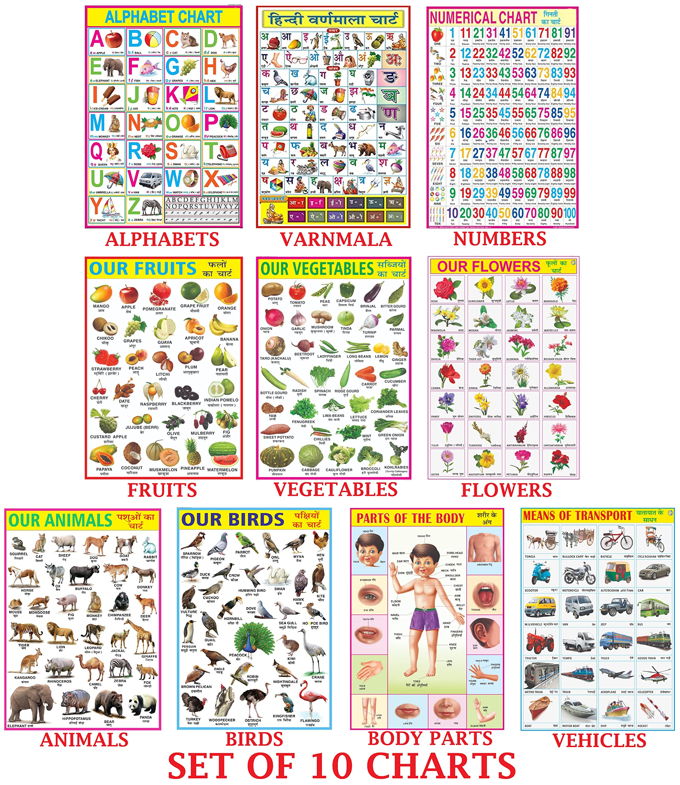 Early Learning Educational Charts Set For Kids | 70X100 Cm (Extra Large Size To Attract Kids) | Combo Of 10 Charts | NonTearabl