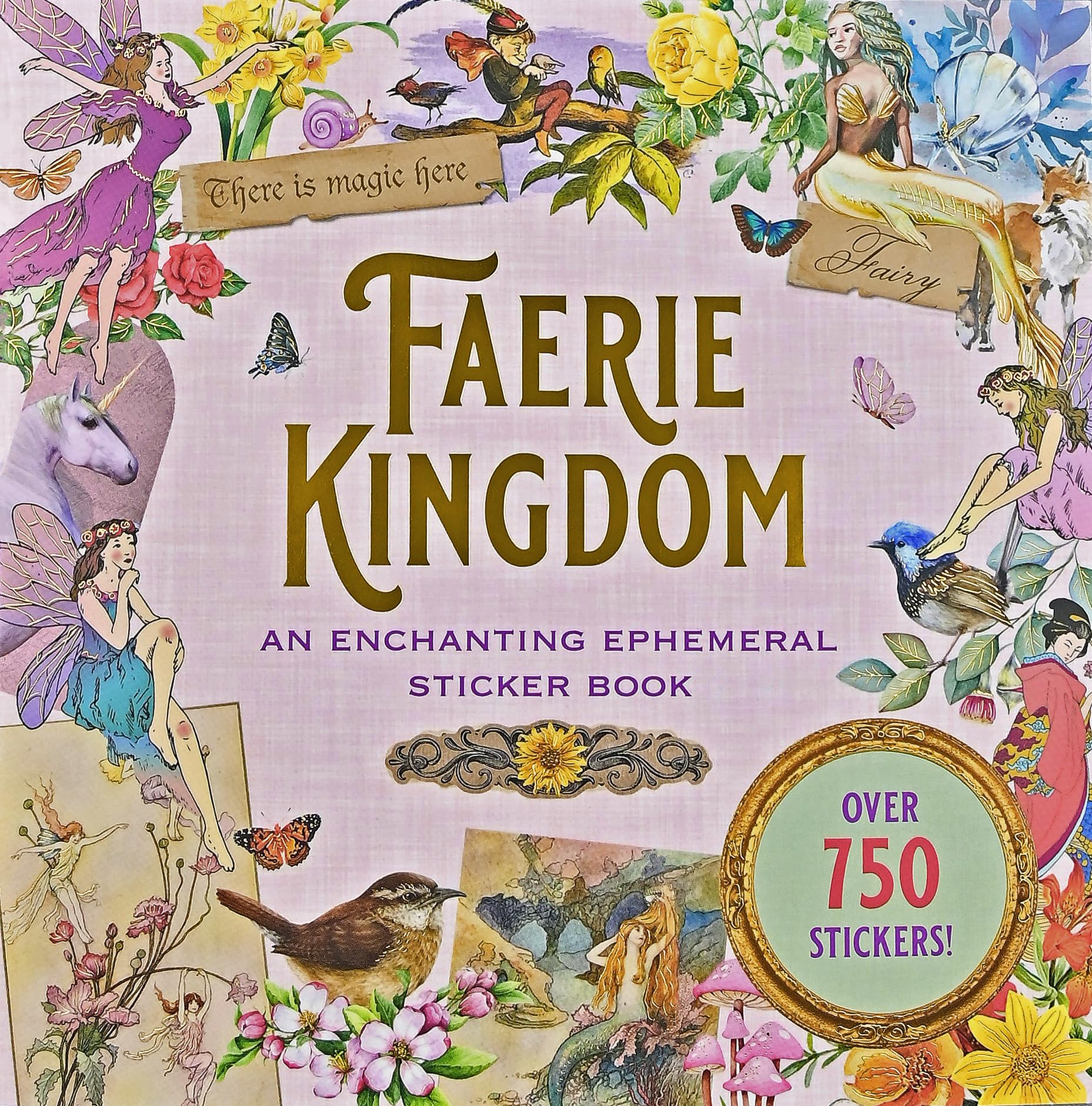 Faerie Kingdom Sticker Book (over 750 stickers) (Sticker Books)