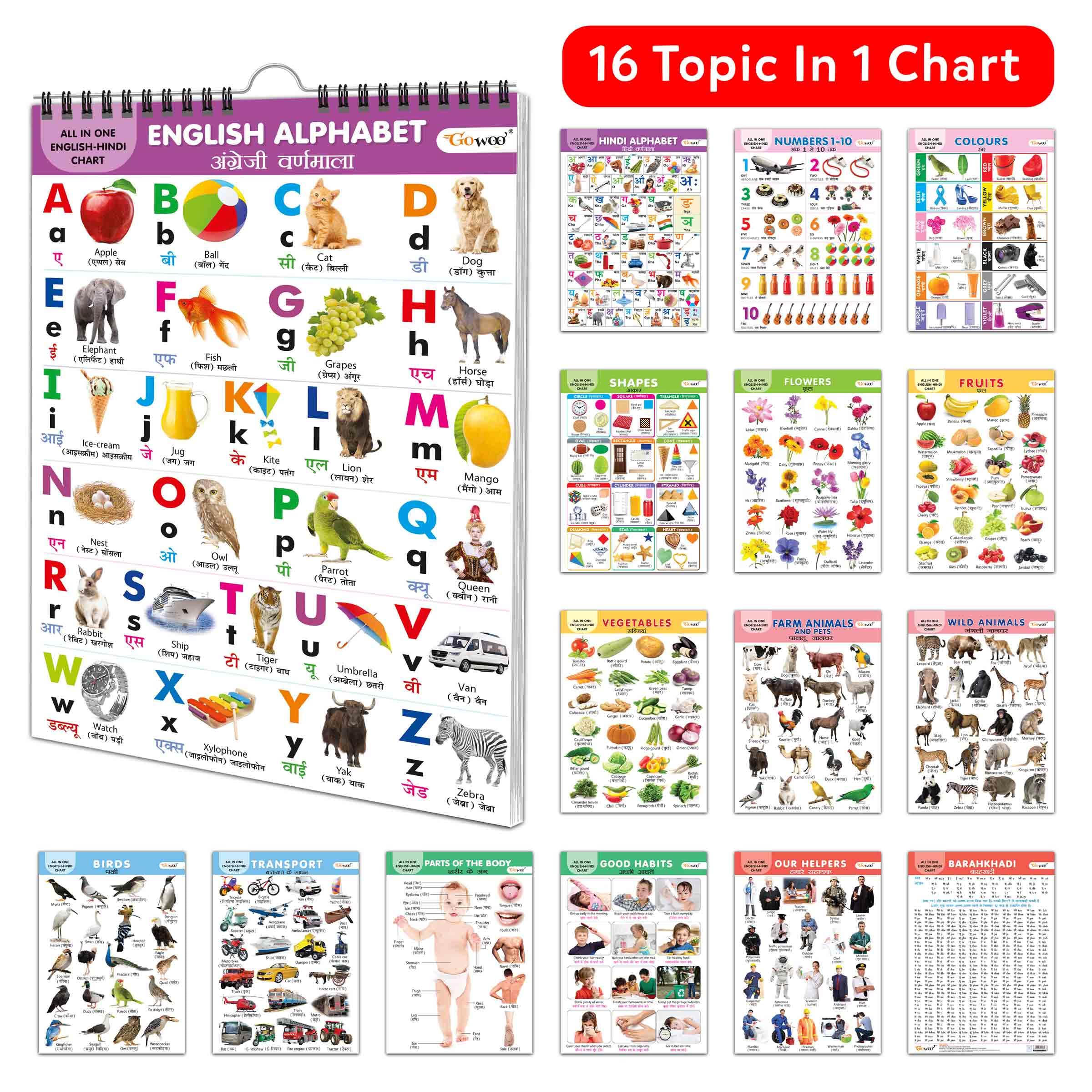 My First ALL IN ONE SPIRAL CHART ENGLISHHINDI : Learning Chart book for kids, Educational Chart for toddlers, Collection With 1