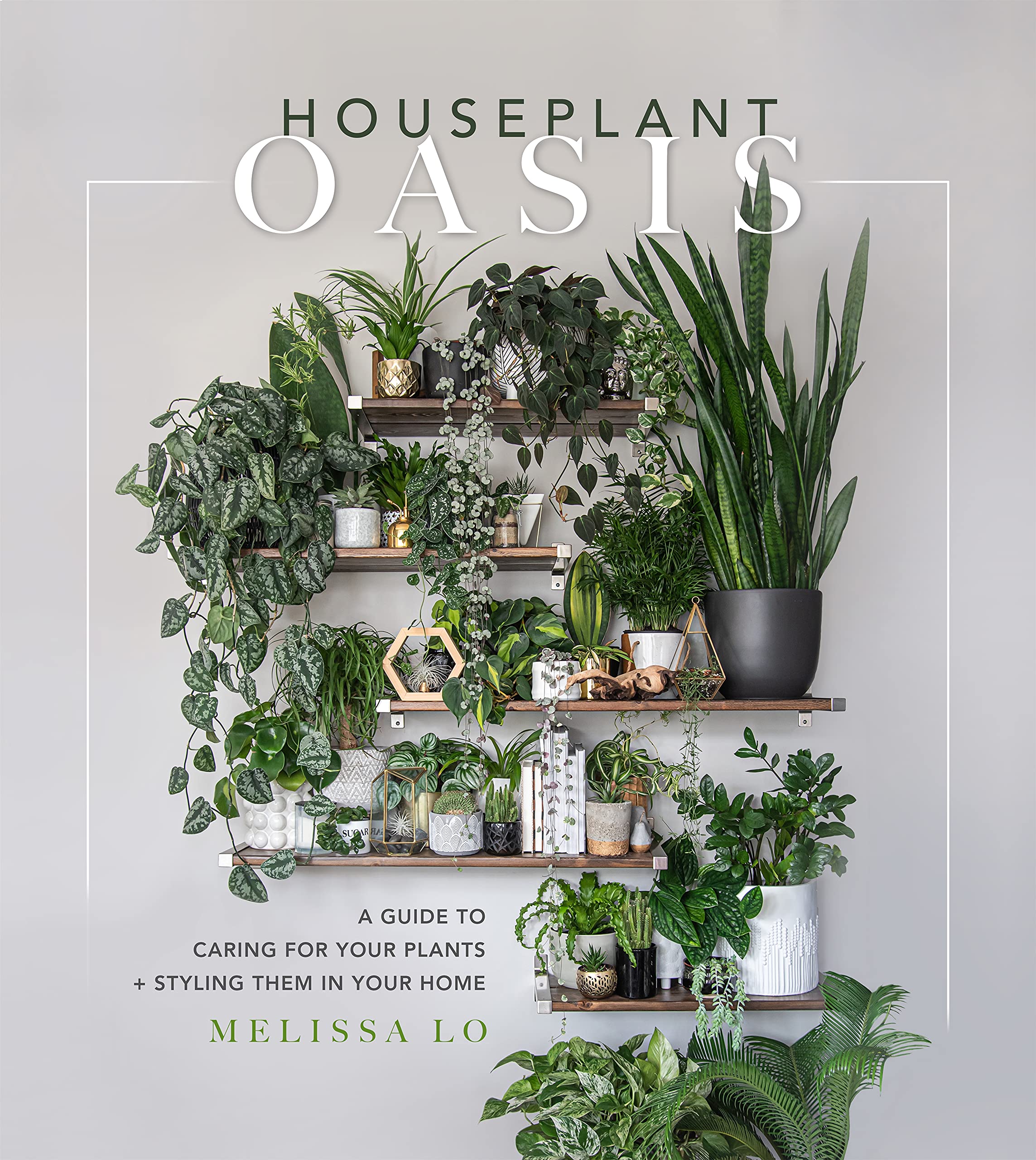 Houseplant Oasis: A Guide to Caring for Your Plants  Styling Them in Your Home