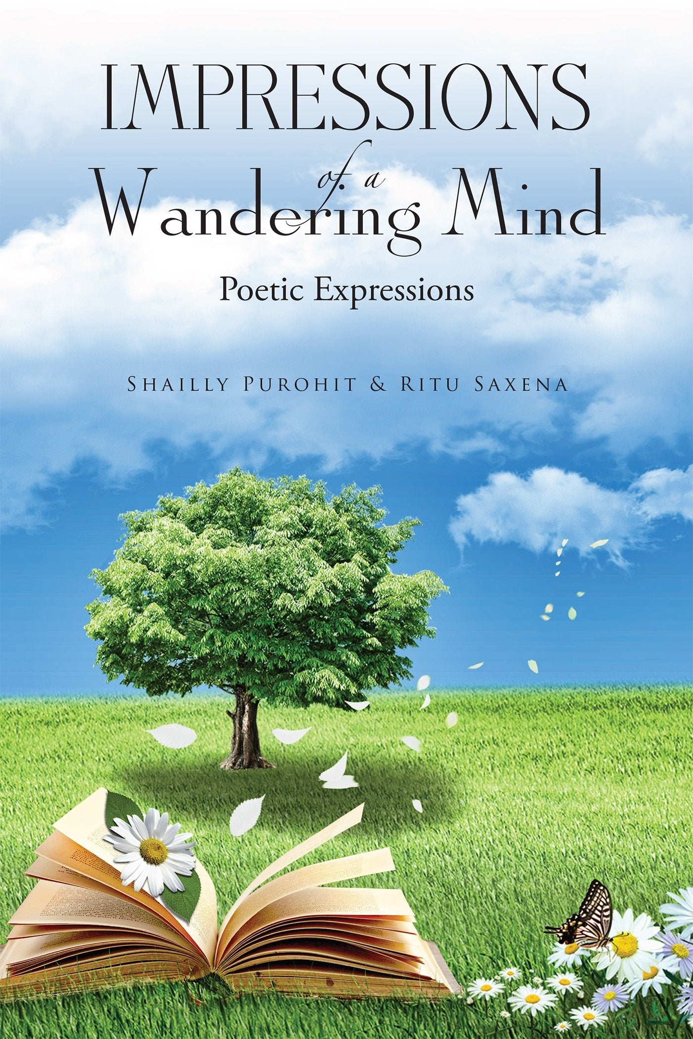 Impressions of a Wandering Mind:Poetic Expressions