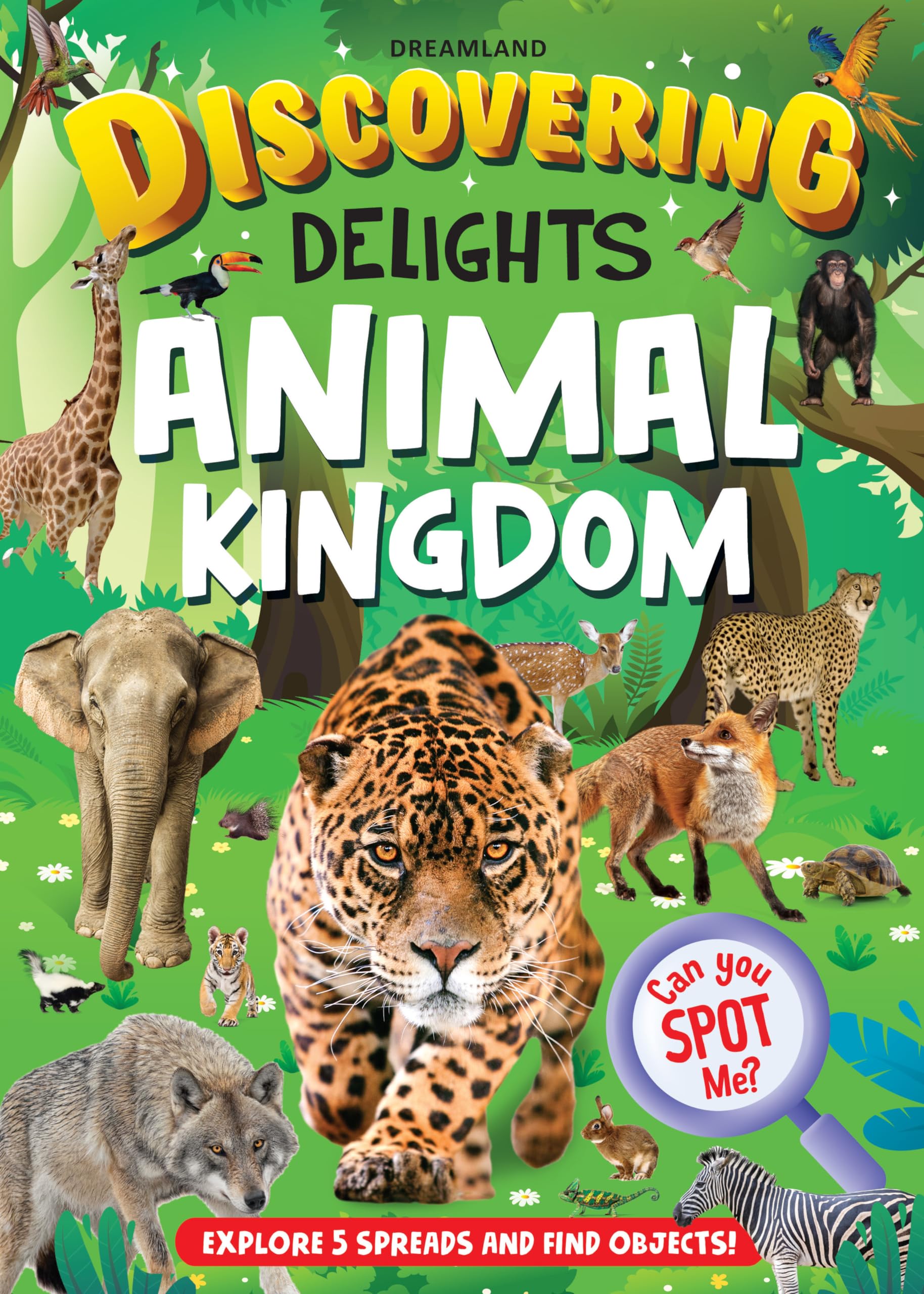 Animal Kingdom Discovering Delights Flap Book For Kids Age 410 Years | Interactive Wildlife Exploration With Fun Facts, Engagin