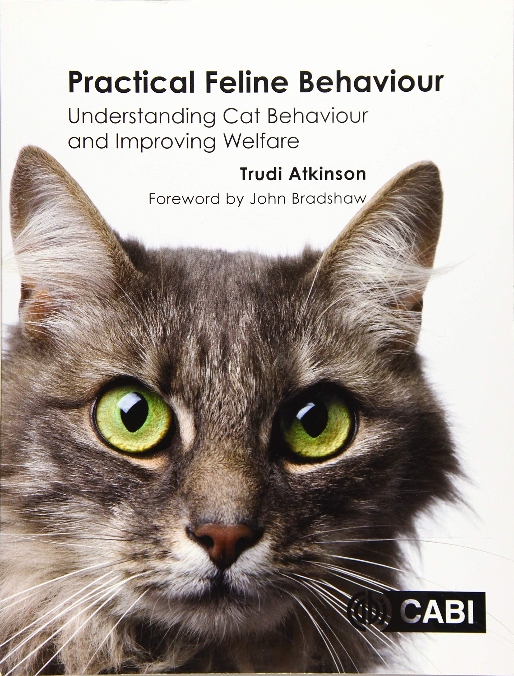 Practical Feline Behaviour: Understanding Cat Behaviour And Improving Welfare