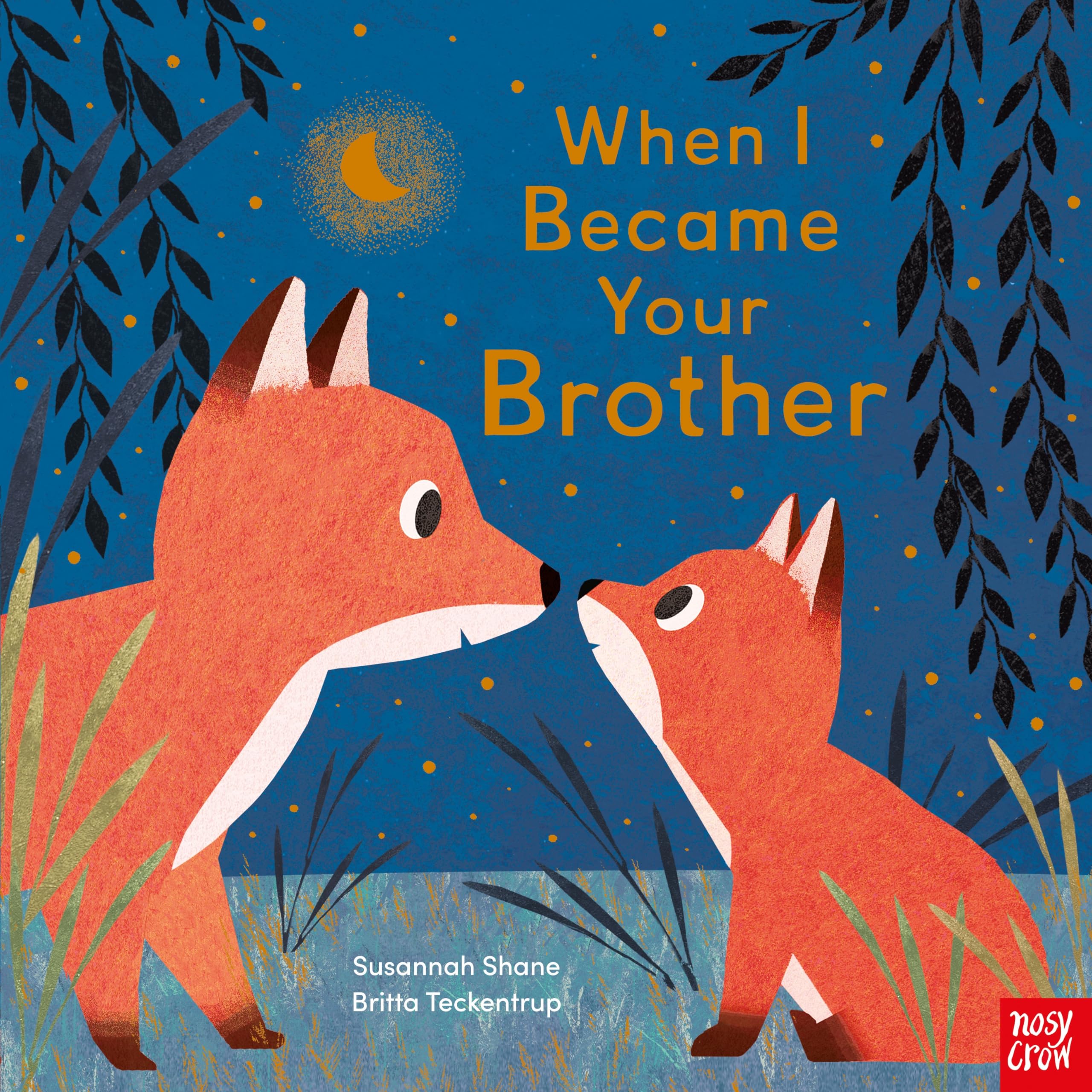 Nosy Crow Ltd When I Became Your Brother.