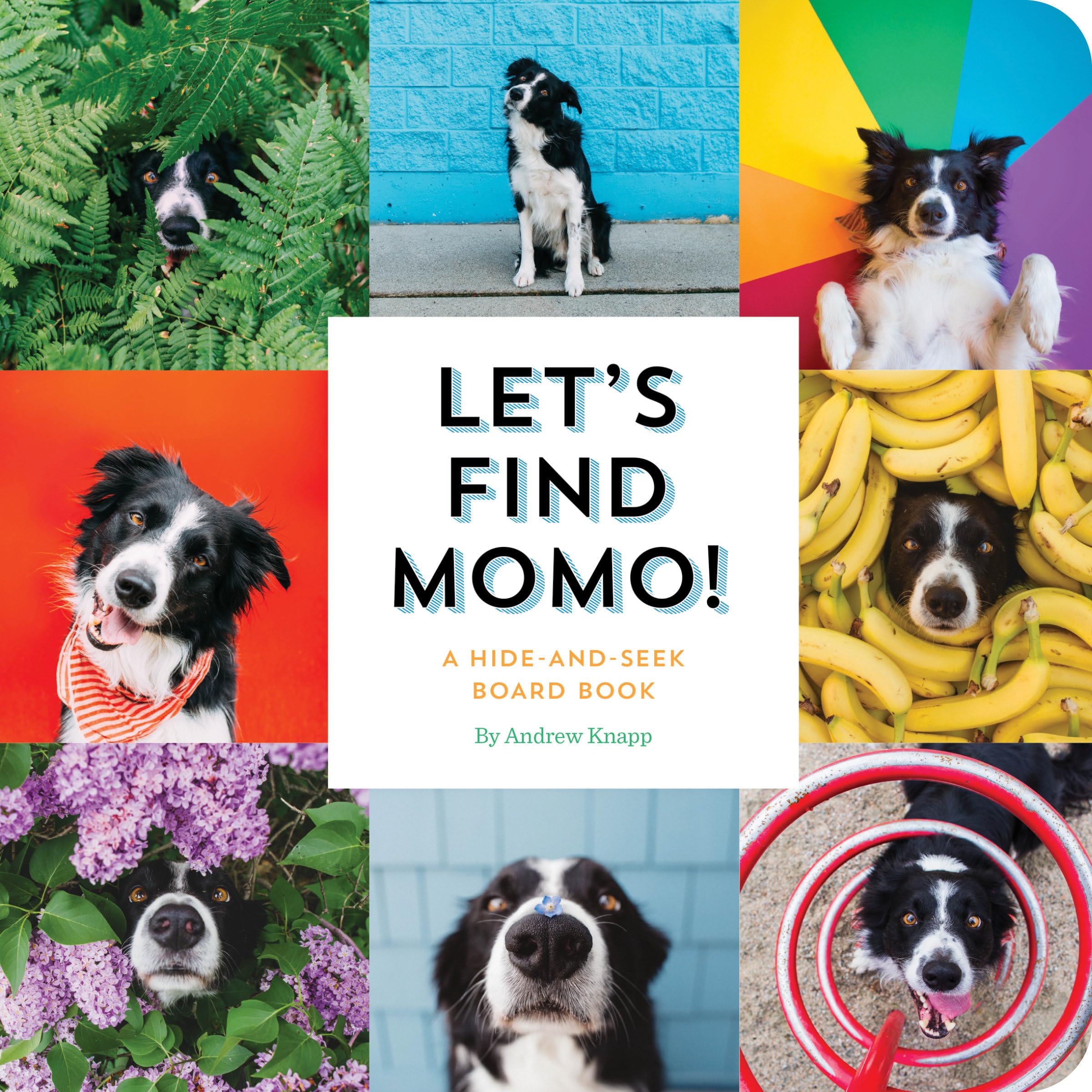 Lets Find Momo!: A HideandSeek Board Book