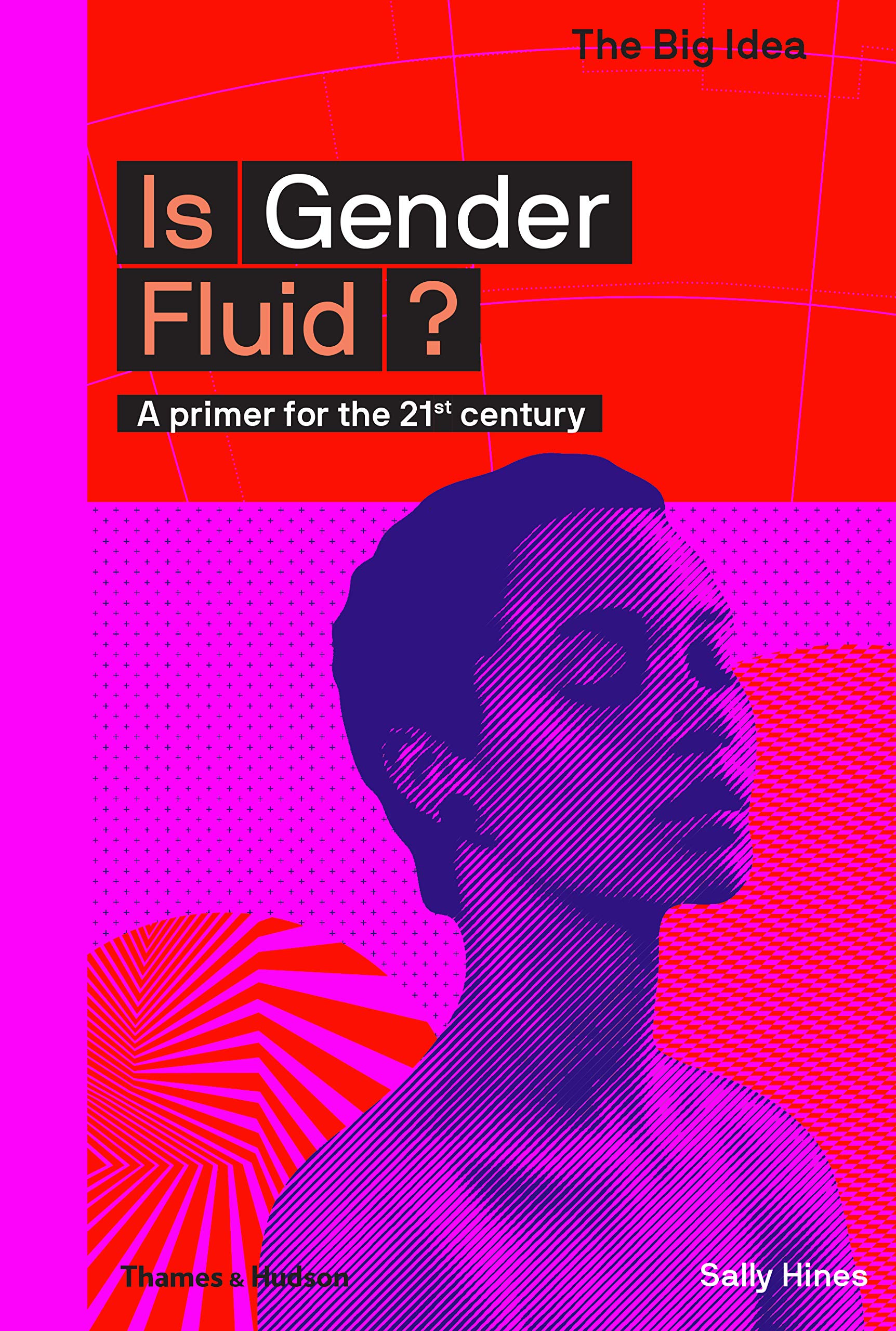 Is Gender Fluid? (The Big Idea Series) (The Big Idea Series, 3)