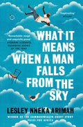 WHAT IT MEANS WHEN A MAN FALLS FROM THE SKY