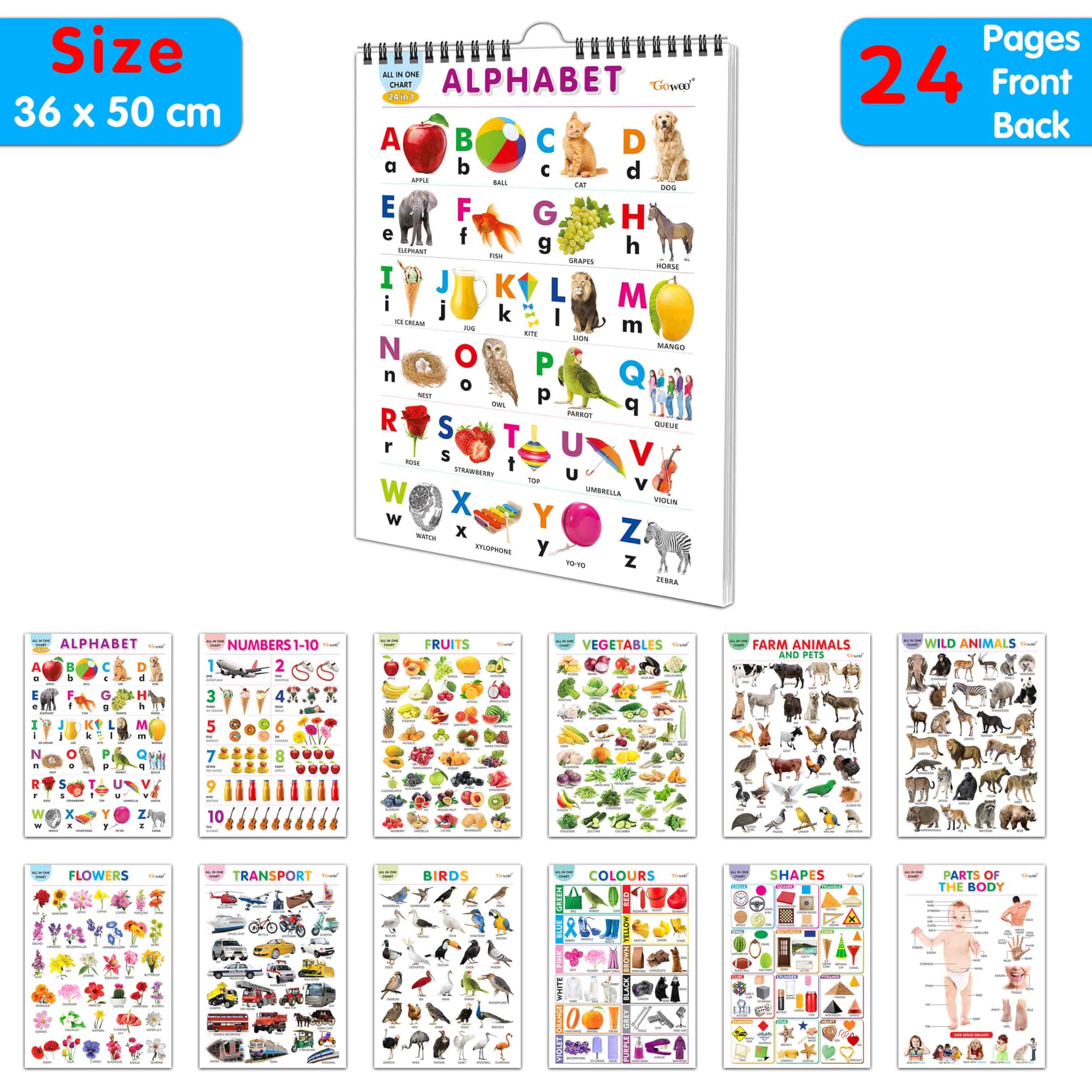 My First ALL IN ONE SPIRAL CHART : Chart For Children, Learning Chart For Kids, Early learning Chart With 24 Topics