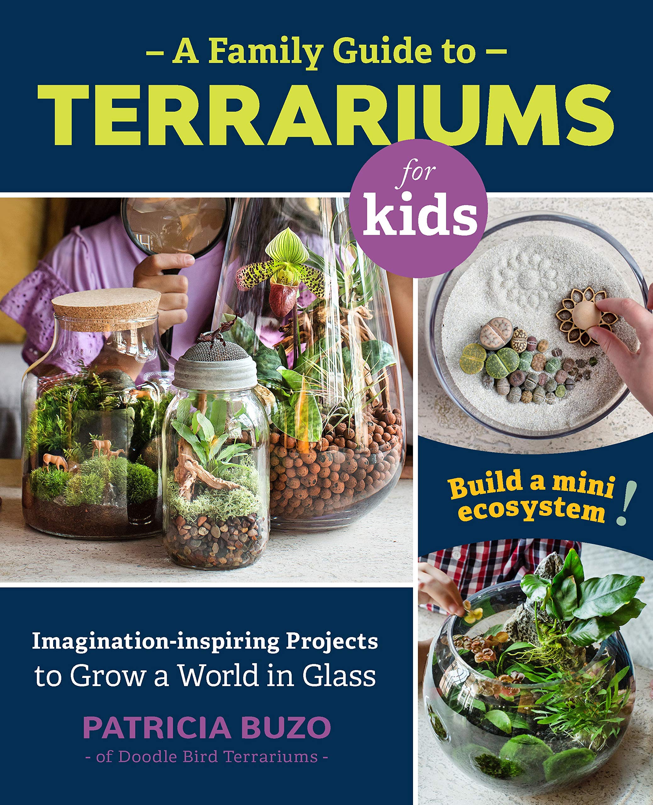 A Family Guide to Terrariums for Kids: Imaginationinspiring Projects to Grow a World in Glass  Build a mini ecosystem!
