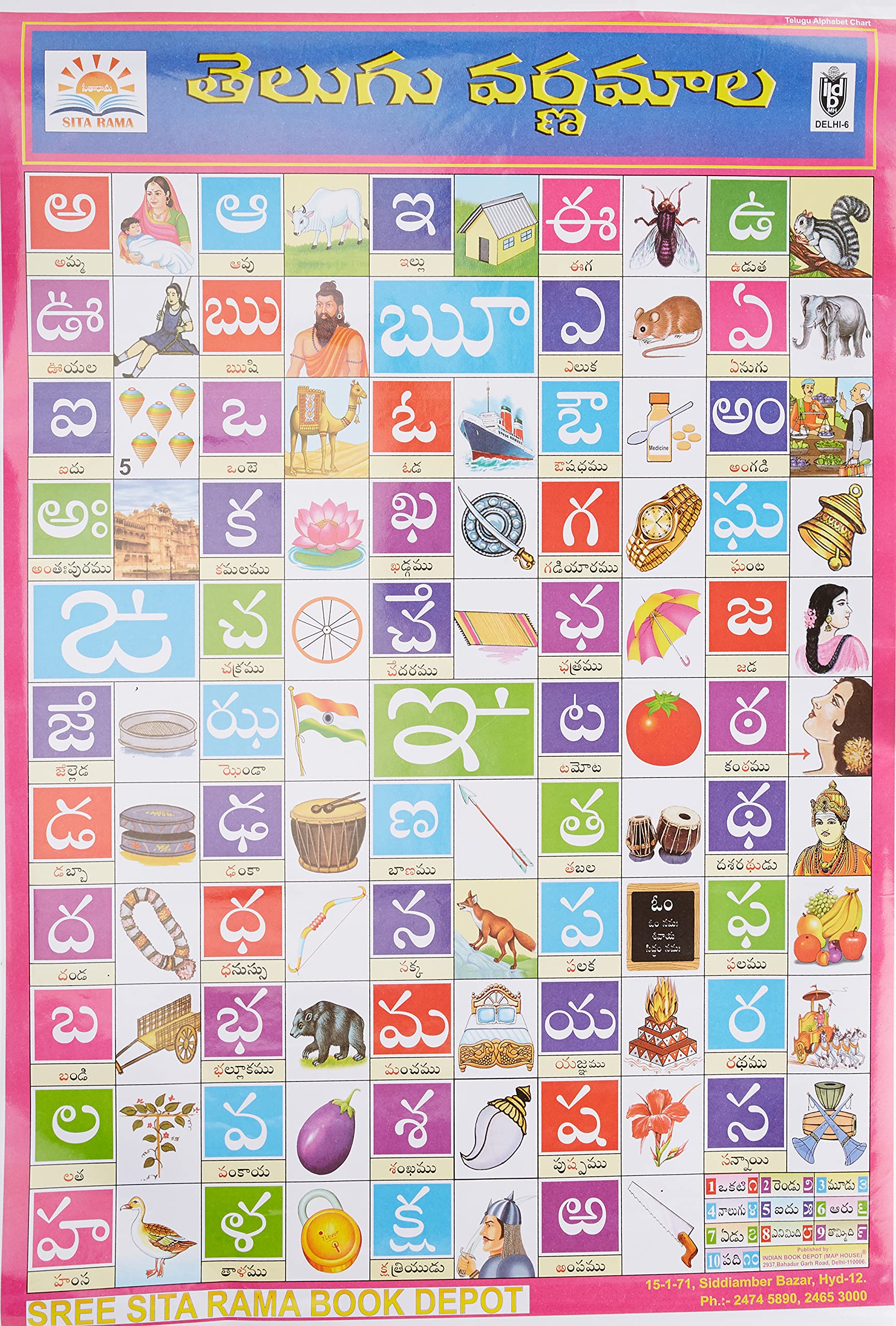 Telugu Alphabet (Size 70 X 100 Cms)|Laminated Both Sides