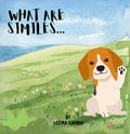 What Are Similes?