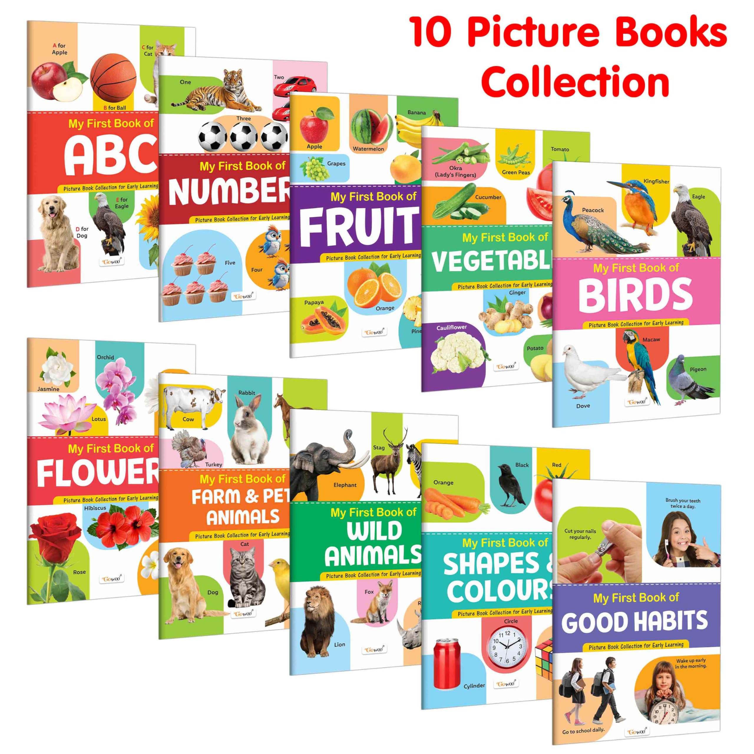 My First Picture Book Collection For Early Learning : Essential Book Of All In One, Early childhood learning books With 10 Topic