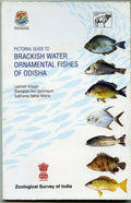 Pictorial Guide to Brackish Water Ornamental Fishes of Odisha