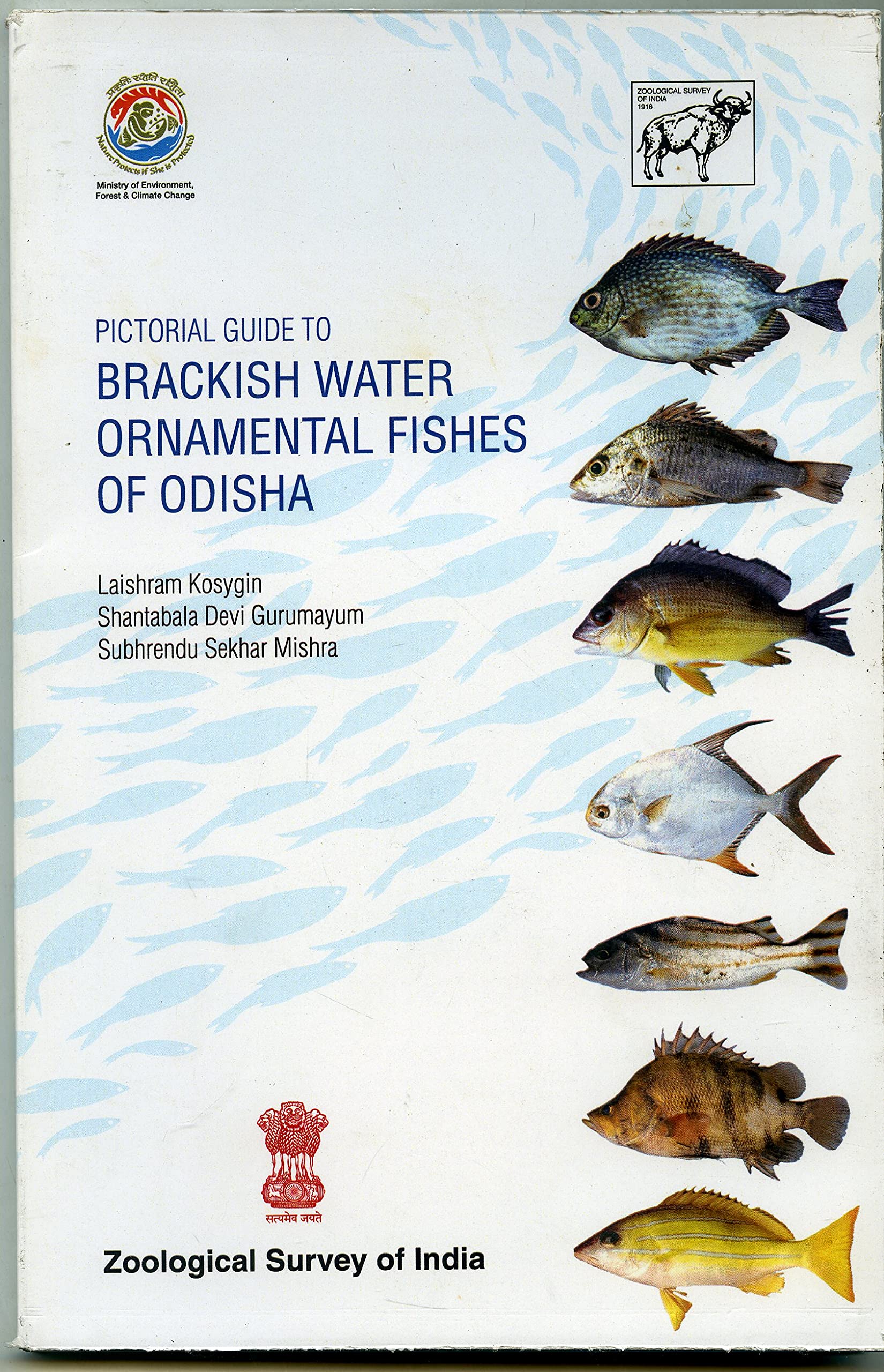 Pictorial Guide to Brackish Water Ornamental Fishes of Odisha