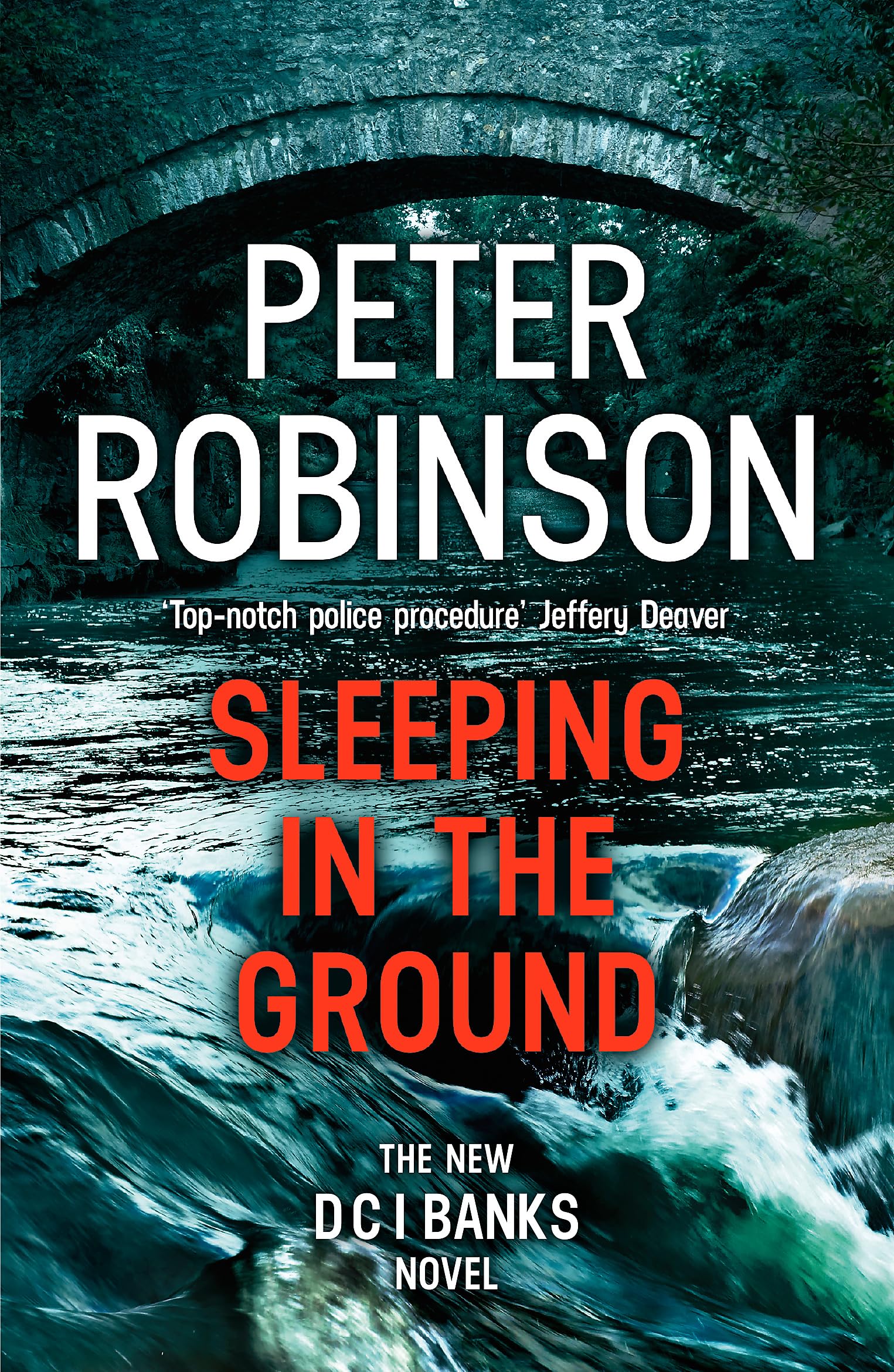 Sleeping in the Ground: DCI Banks 24