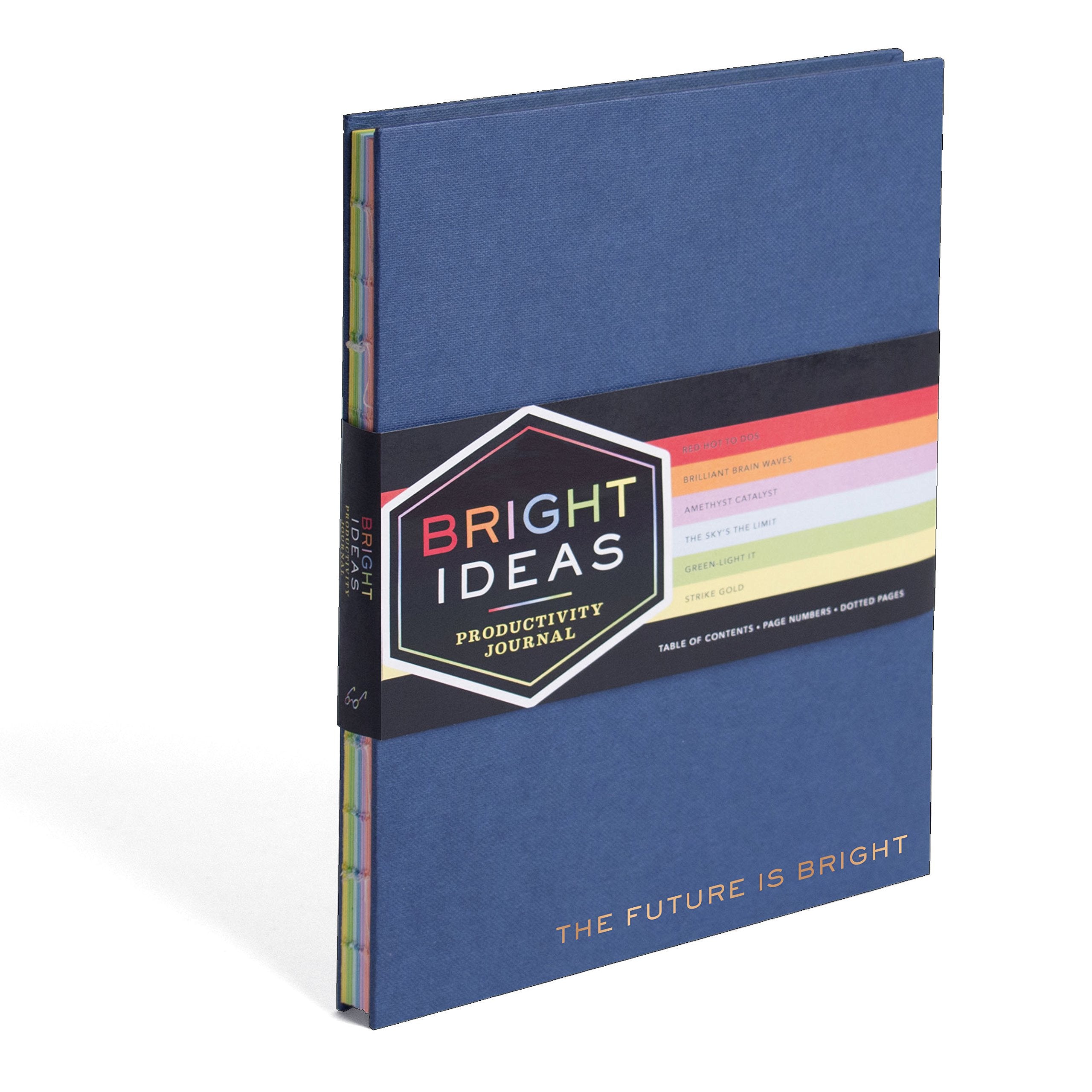 Bright Ideas Productivity Journal: (Productivity Planner Journal, Self Help Journals, Activity Journals)