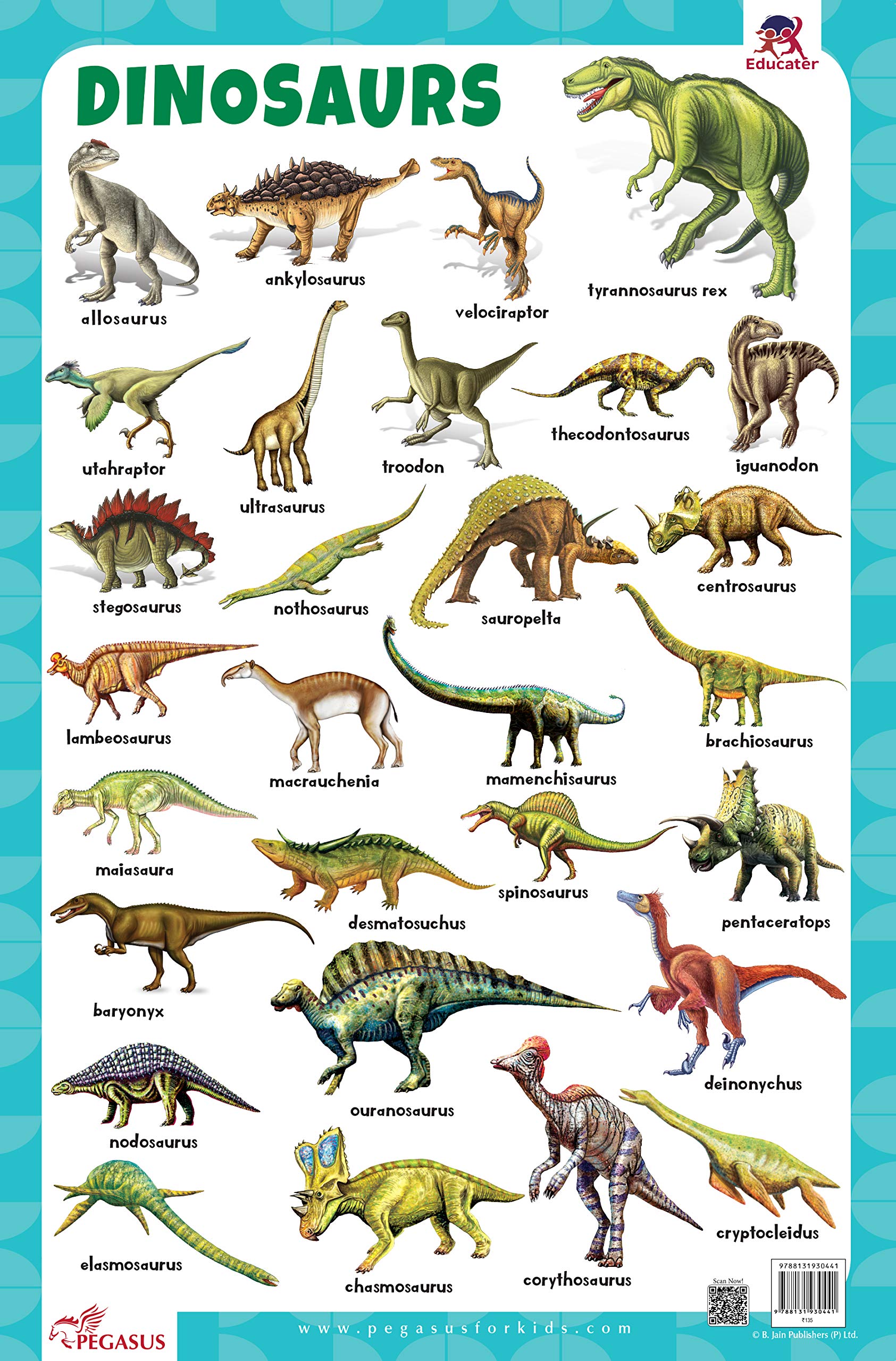 Dinosaurs  Thick Laminated Primary Chart