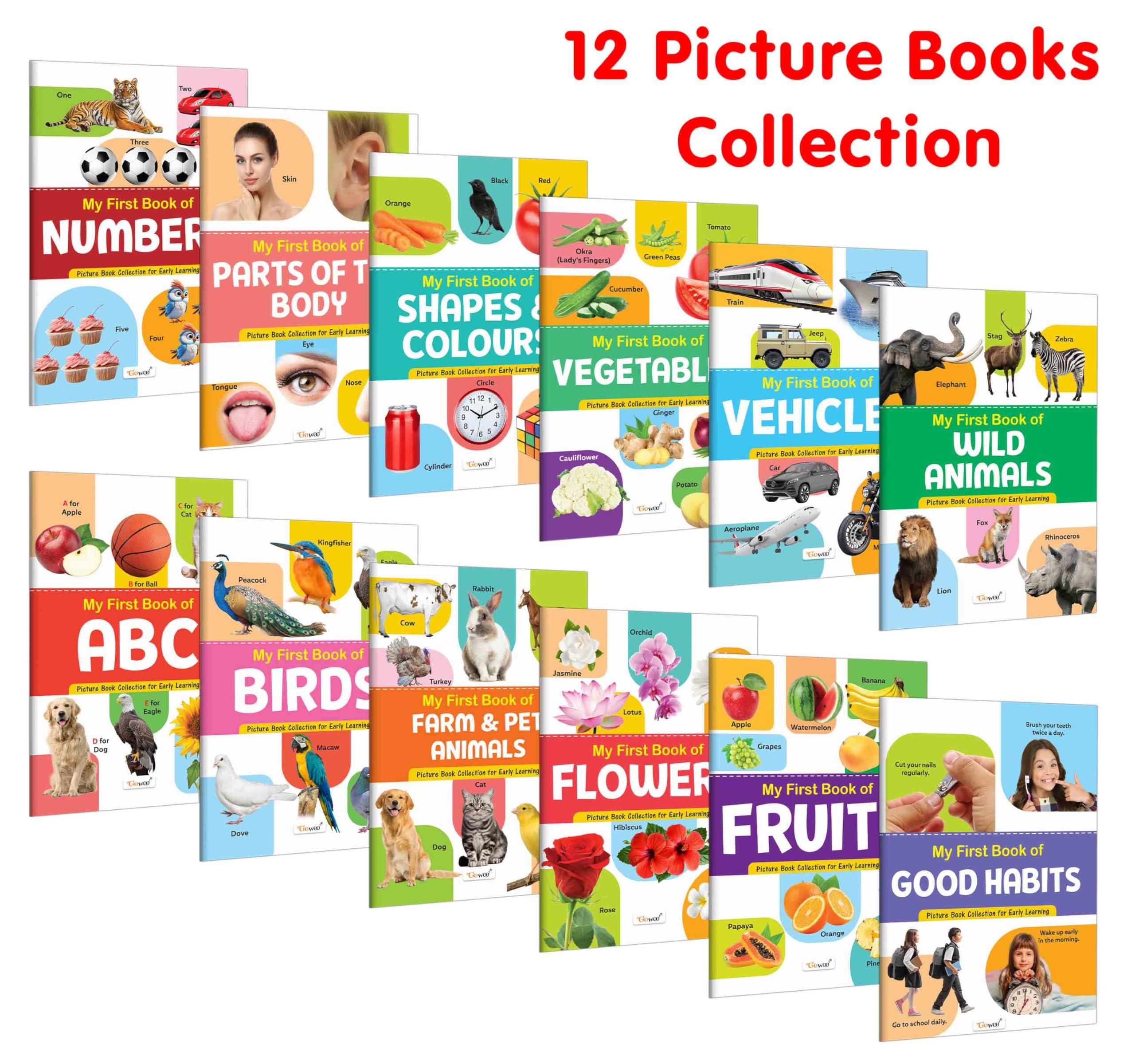 My First Picture Book Collection For Early Learning : Essential Book Of All In One, Early childhood learning books With 12 Topic