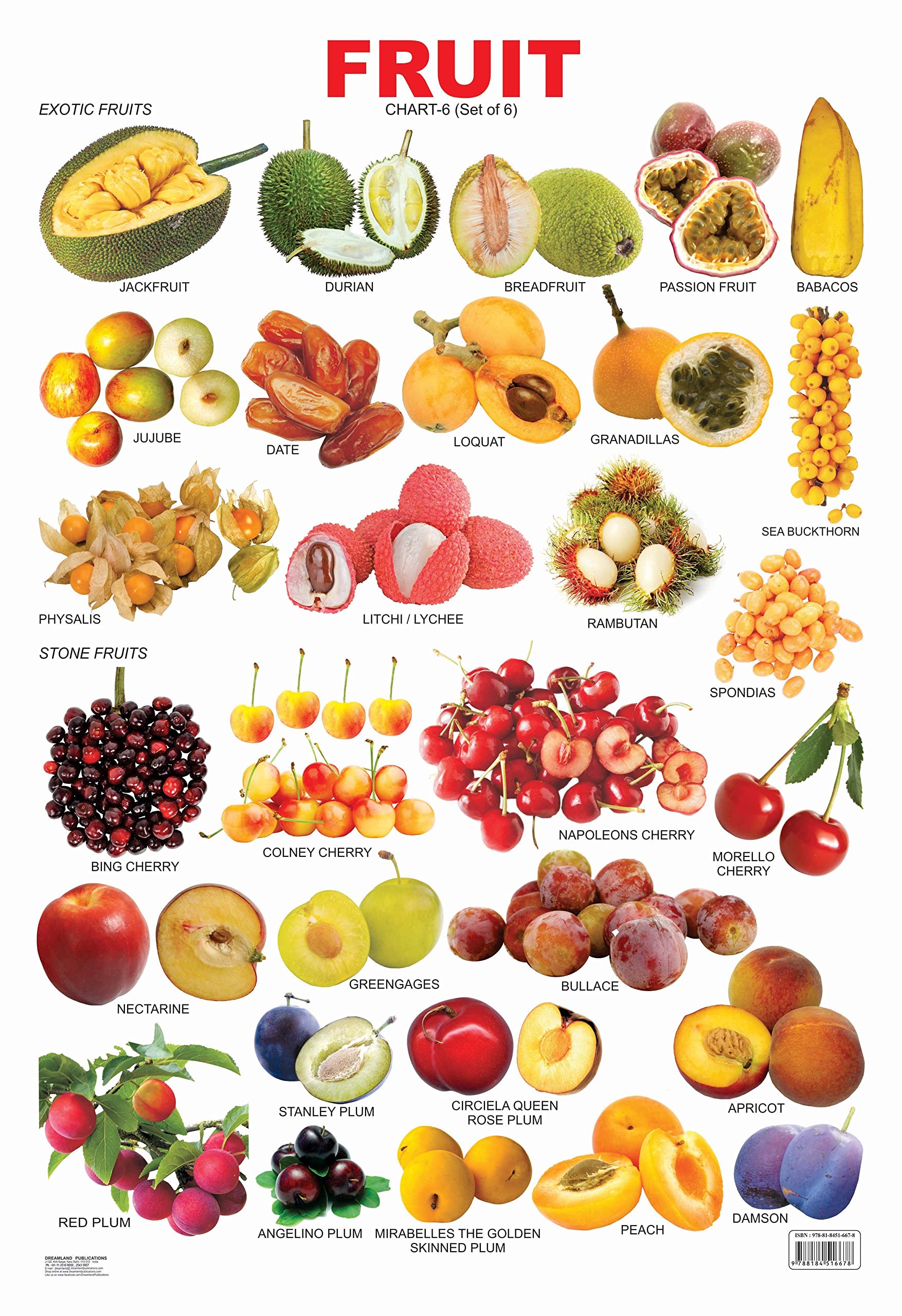 Educational Fruit Wall Chart for Kids Ages 25  Fruit 6 Learning Chart, 48 x 73 cm, Colourful Laminated & TearResistant for Cl