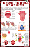 The Mouth, The Tongue and The Speech  Thick Laminated Chart